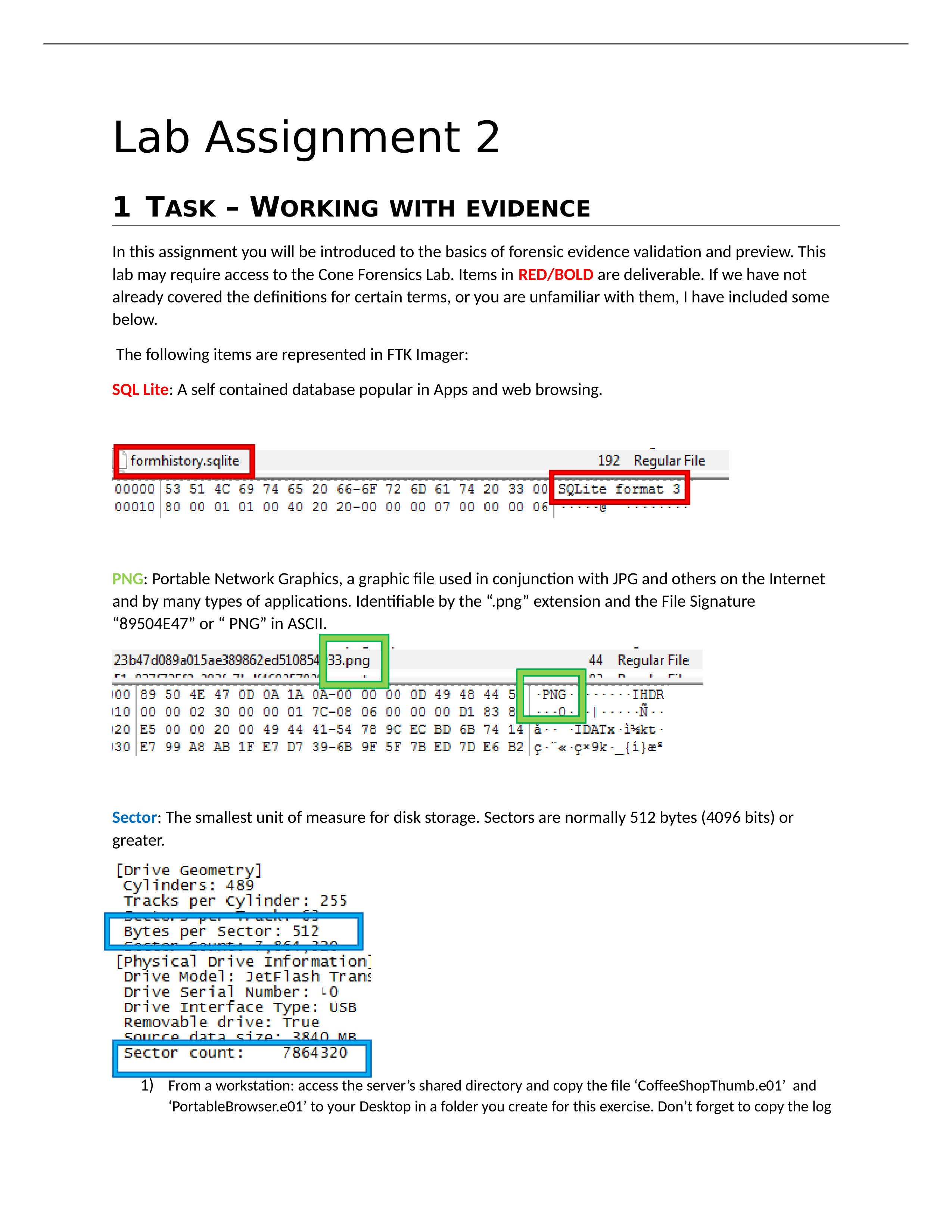 Lab Assignment 2.docx_d9lb340m2x5_page1