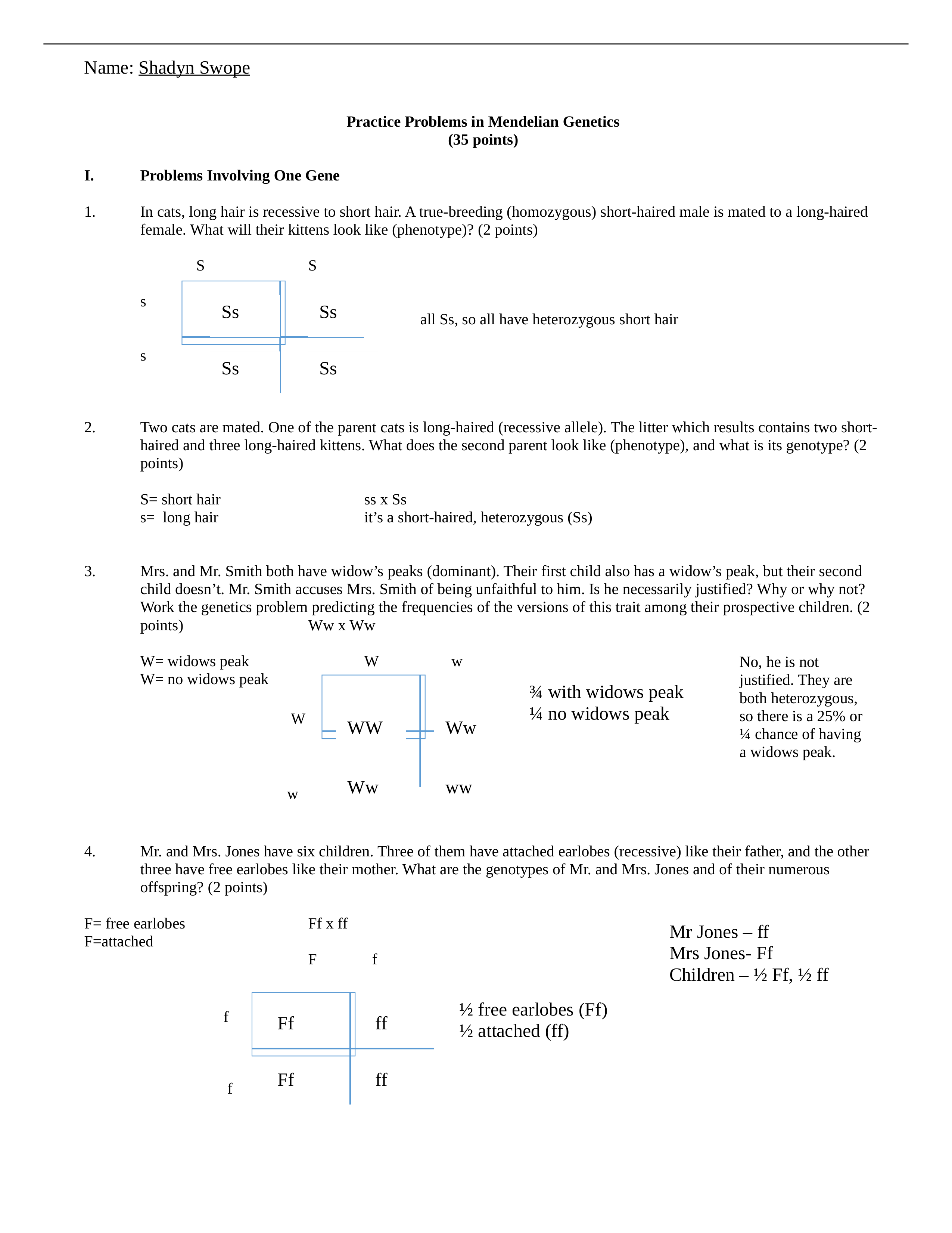 Genetics Mendelian homework_d9p23jrjkif_page1