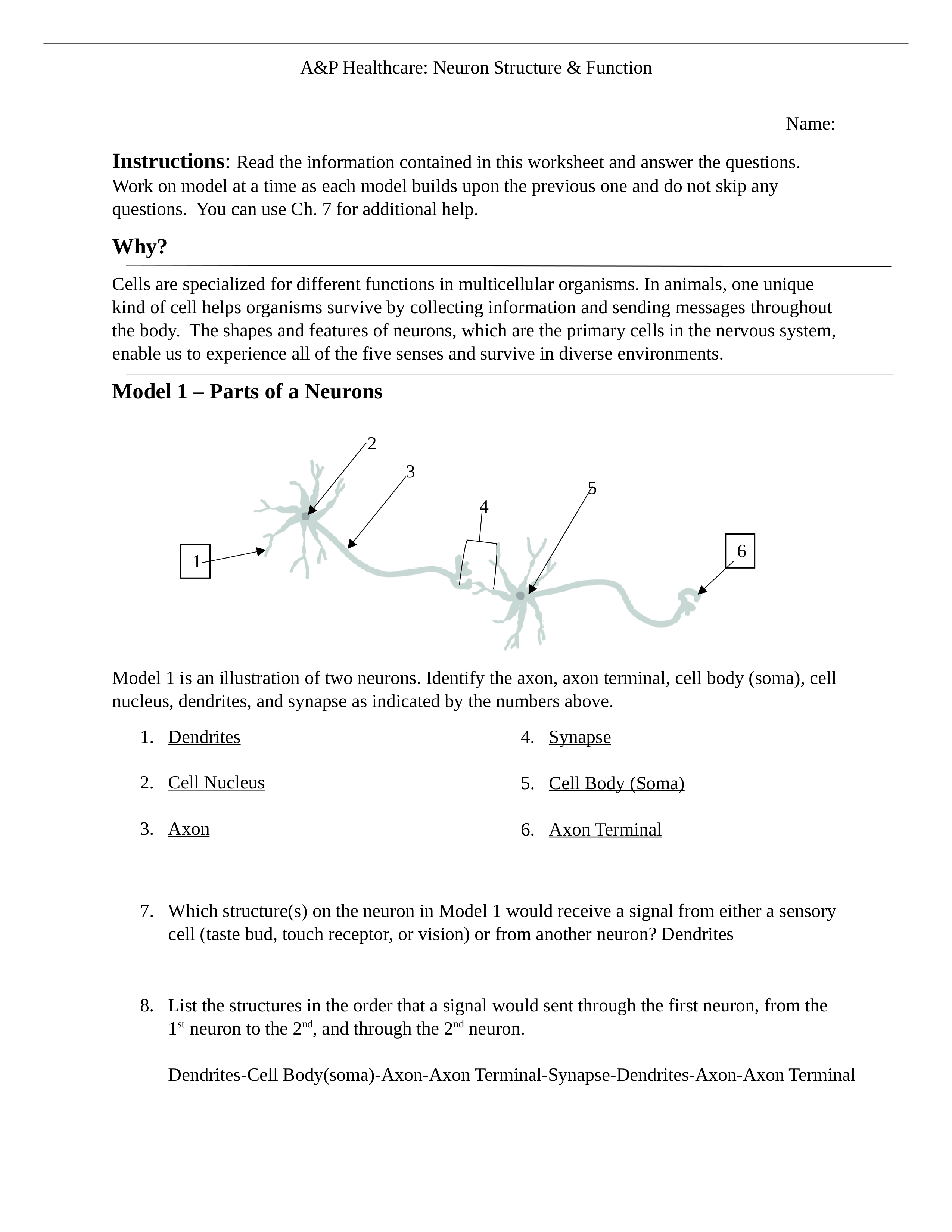 Neuron structure & Function Worksheet.docx_d9sr98ki4oj_page1