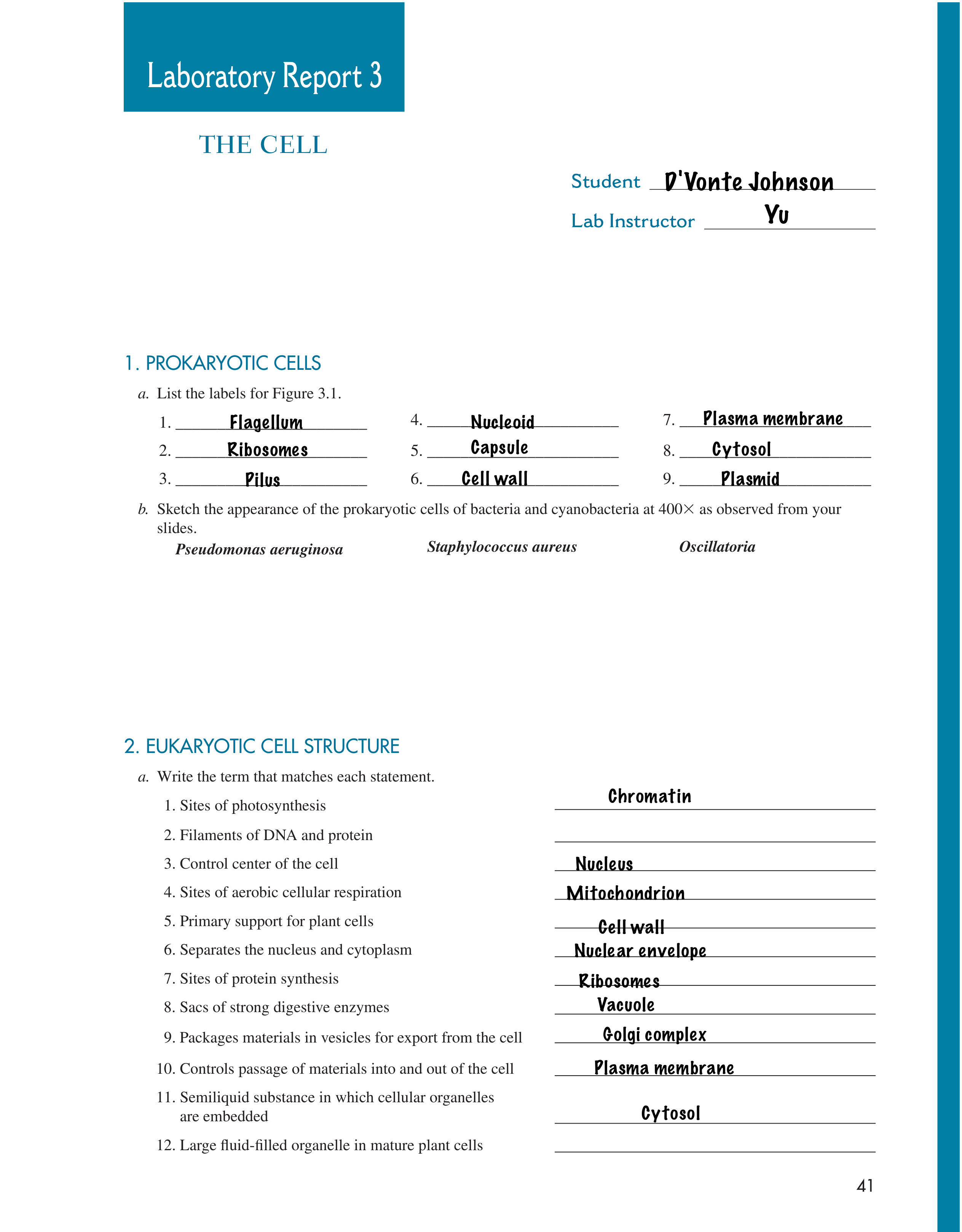 Lab 3_da1qpdpmi87_page1