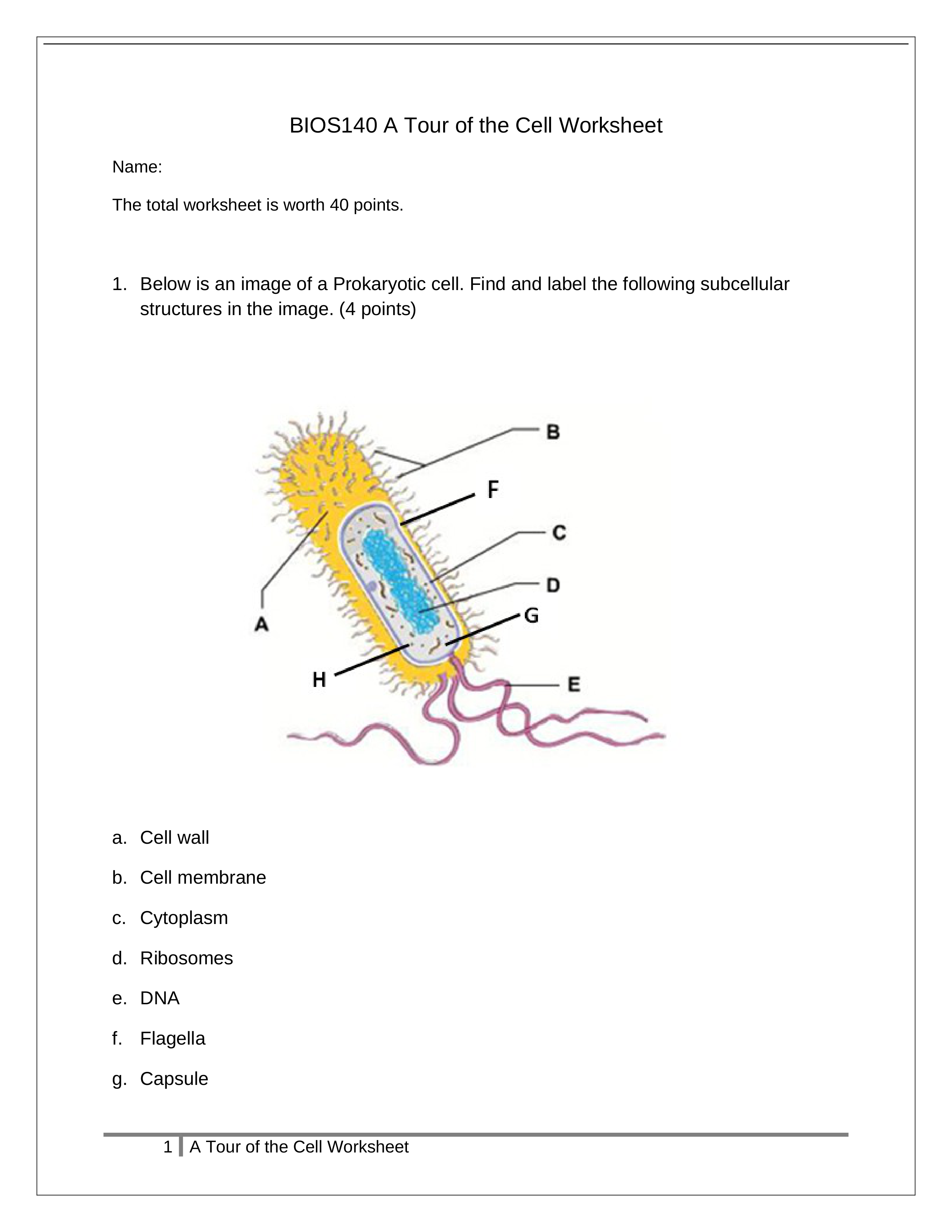 Tour of the Cell Worksheet 2_da6a9amvwho_page1