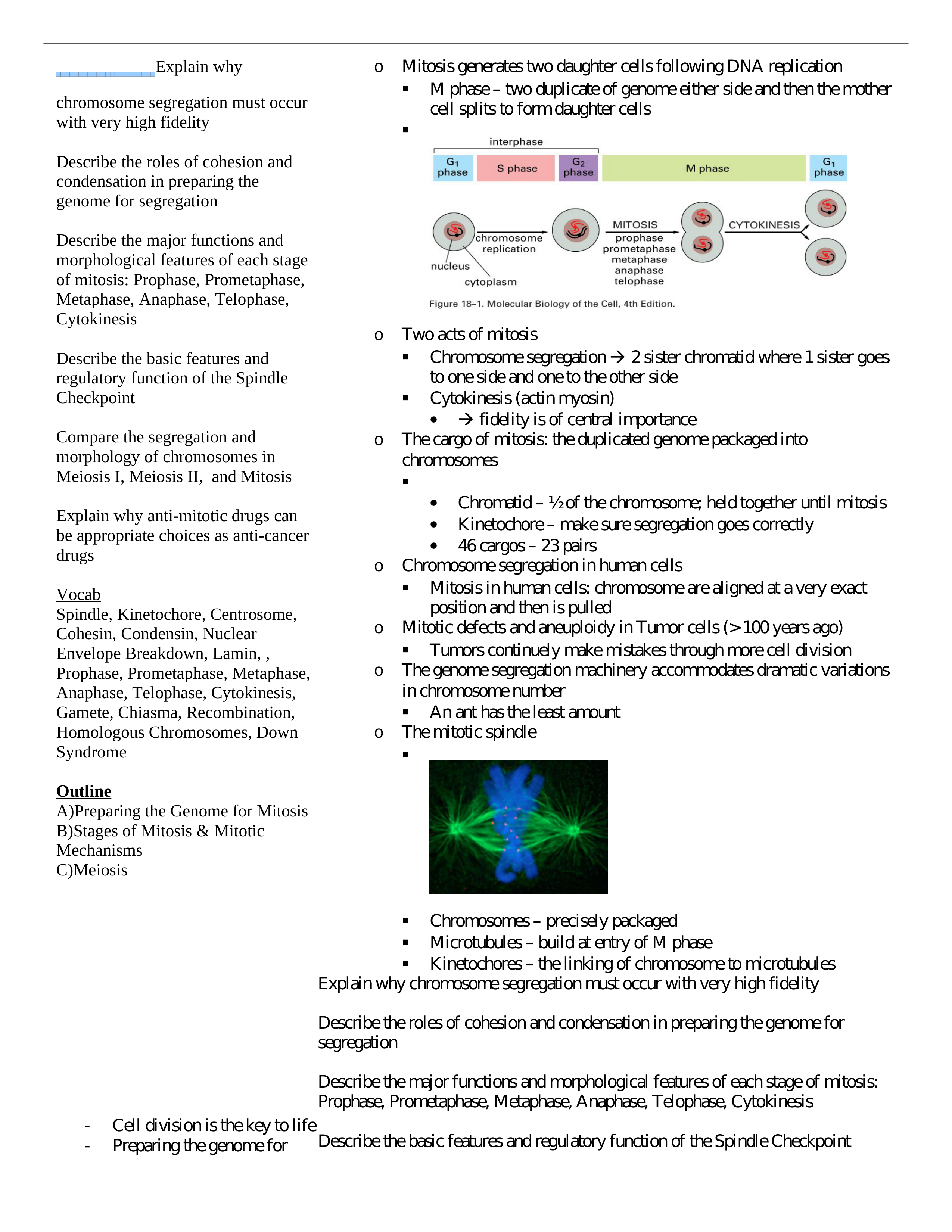 Lecture 27 Cell Division - Mitosis and Meiosis_da8sifhvzoo_page1