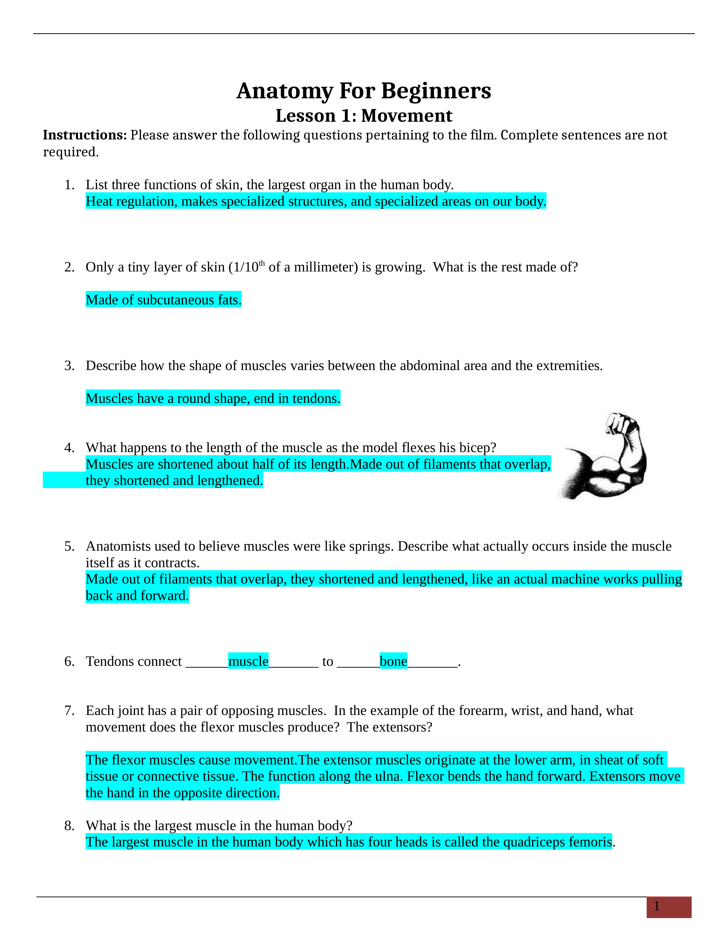 - Anatomy for Beginners - Movement.docx_daf52hfoj66_page1