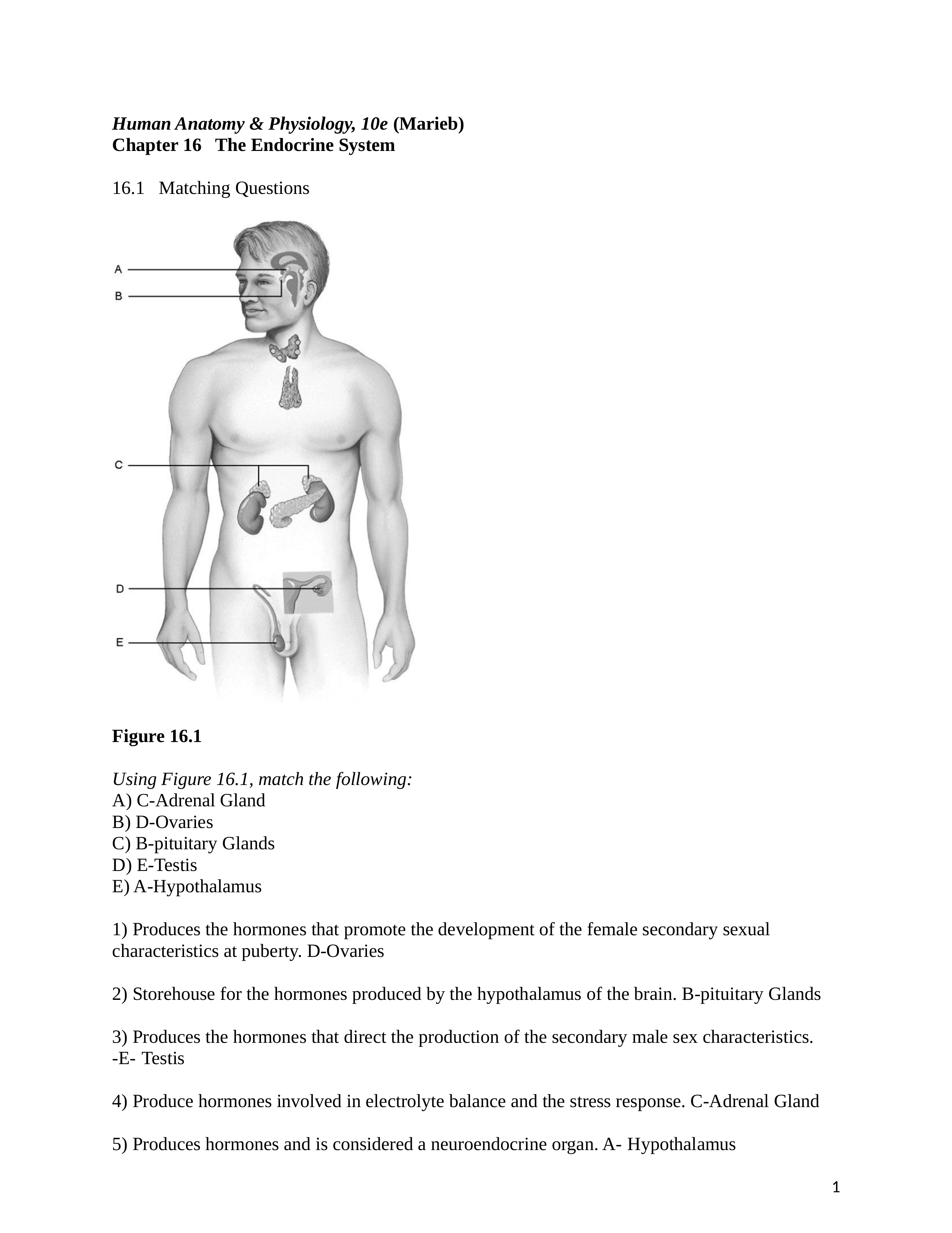 ch_16_worksheet answers.docx_dagmq1oyjk2_page1