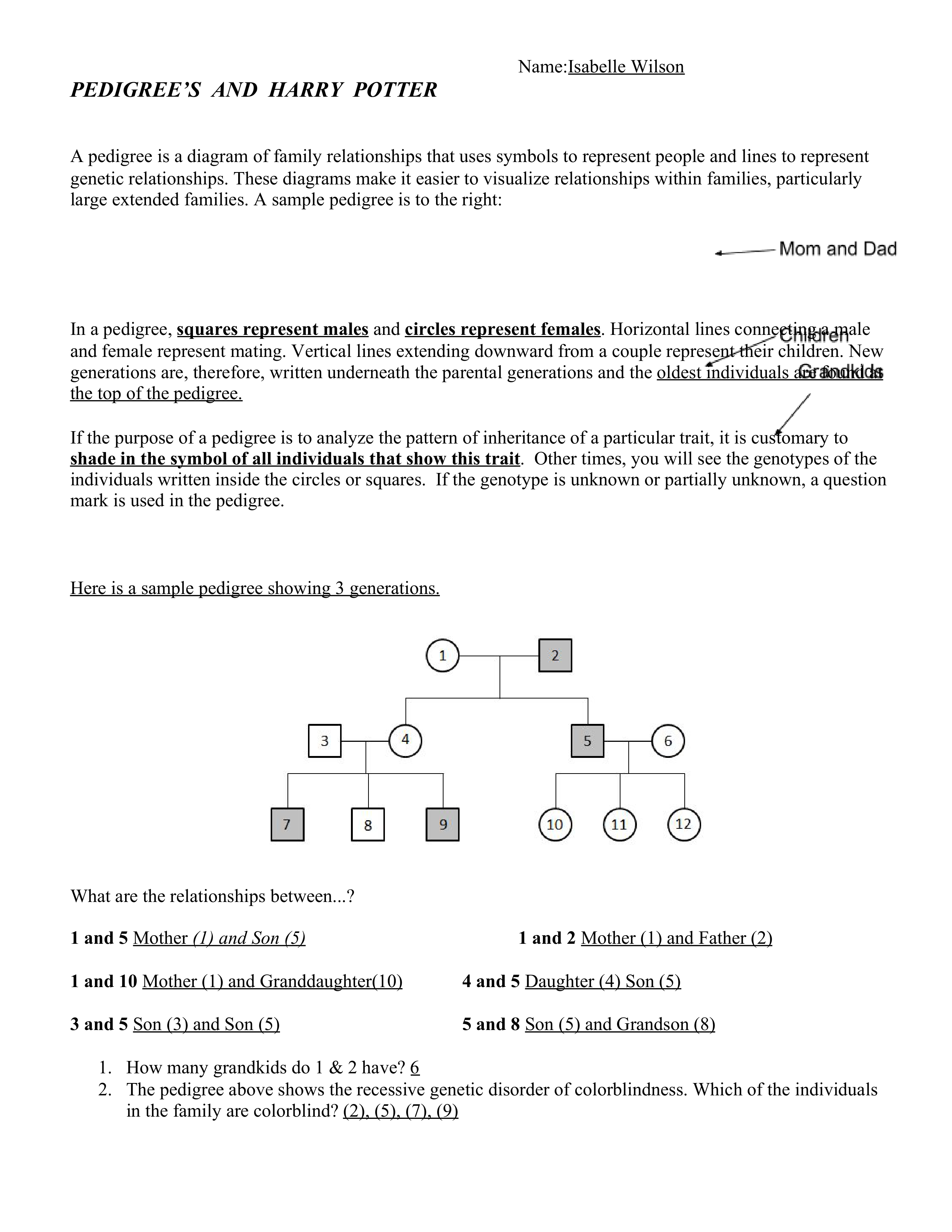 Biology Harry Potter Pedigrees Worksheet.pdf_dalyino2b2v_page1