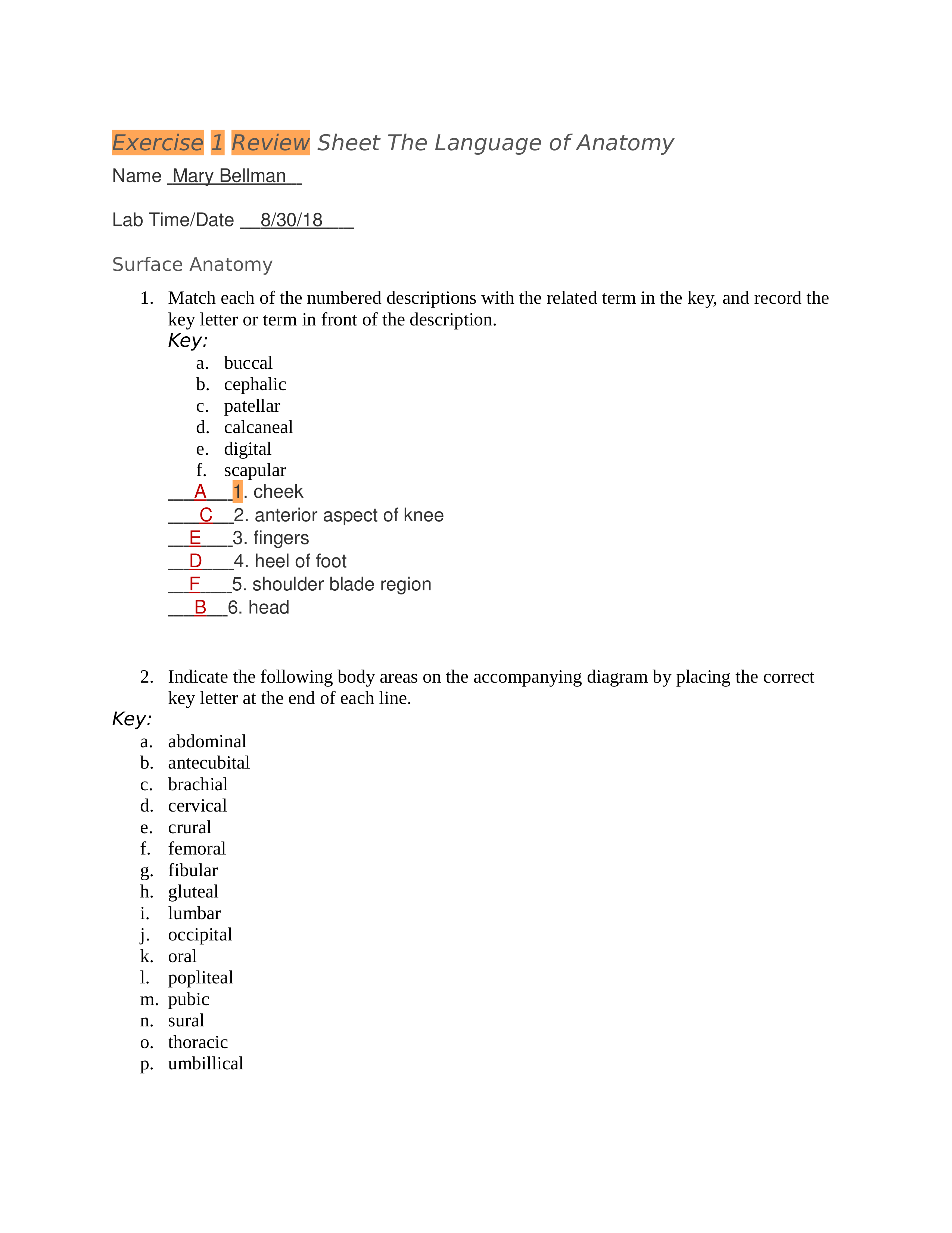 Lab exercise #1.docx_dam26t37zbk_page1