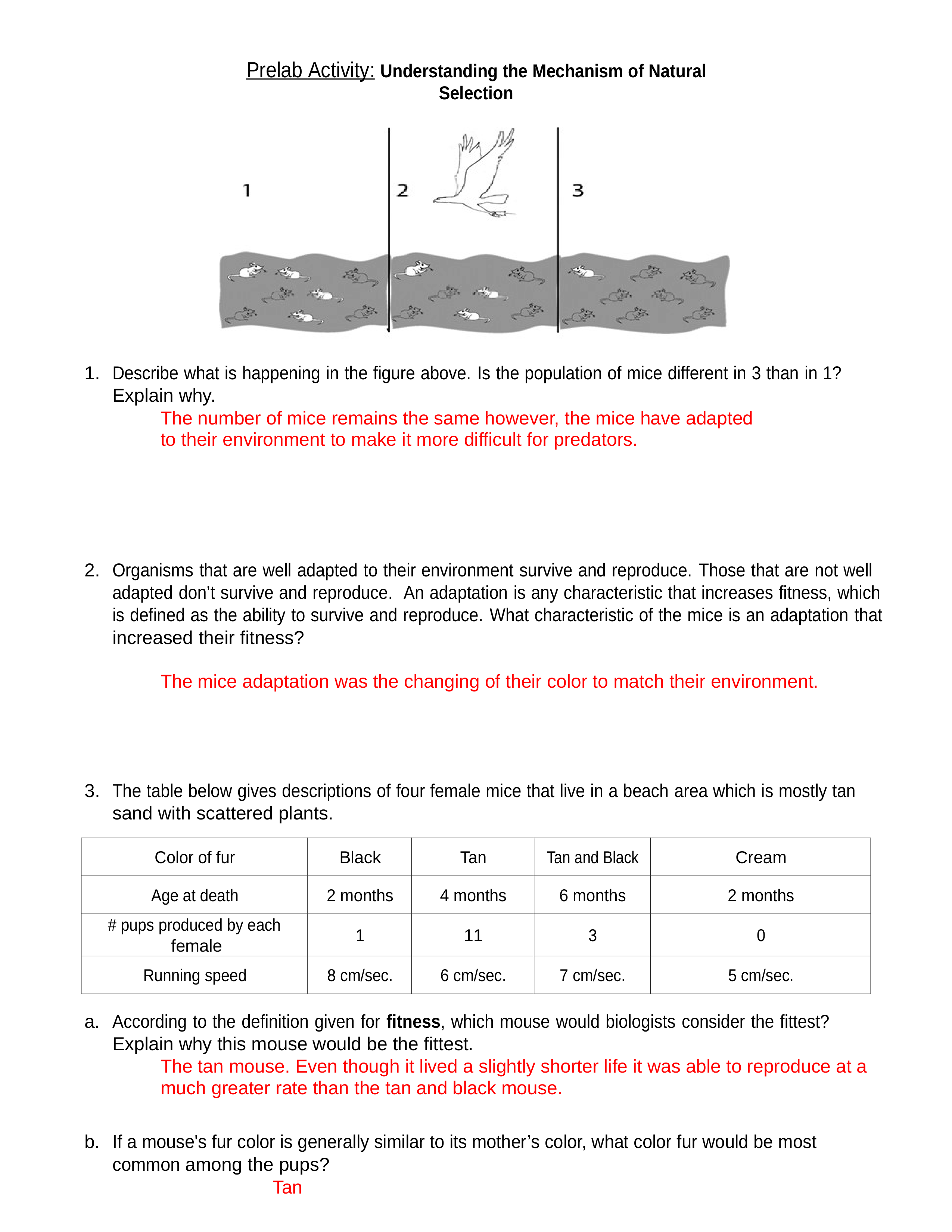 Lab 6.docx_dao88k2rjoa_page1