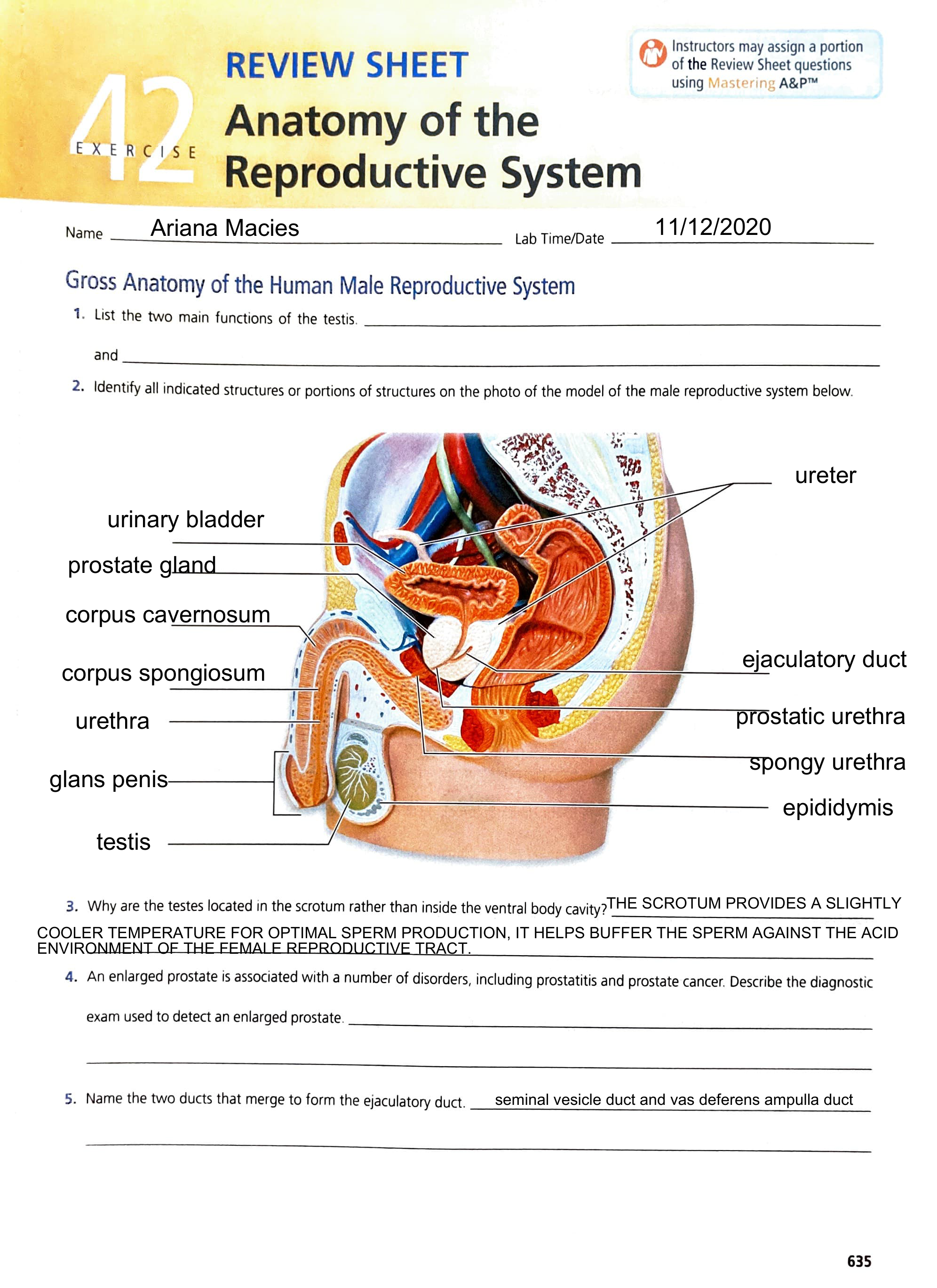 chap 42 lab done.pdf_dara44sul8m_page1