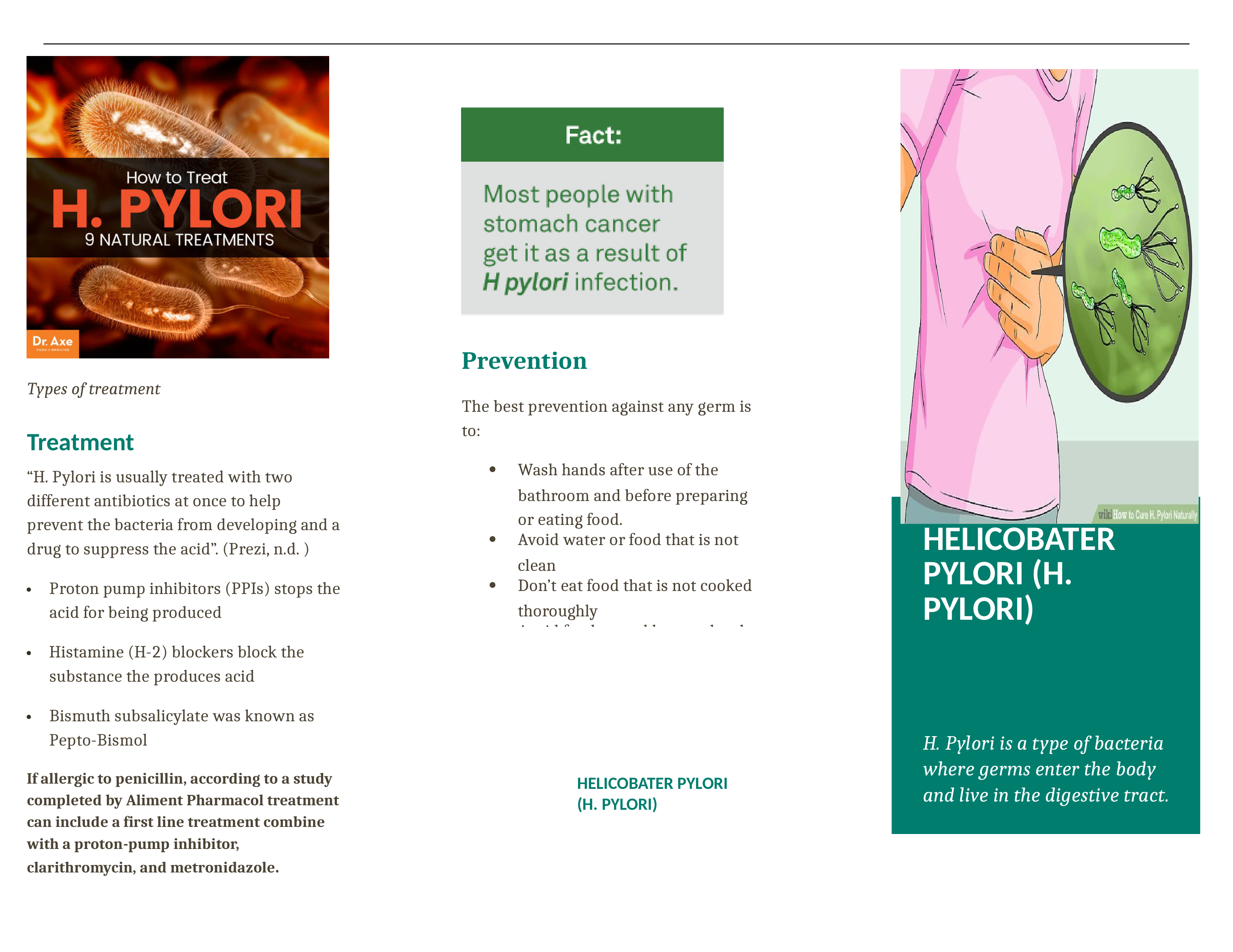 final h pylori brochure.docx_davnq8y5gr8_page1