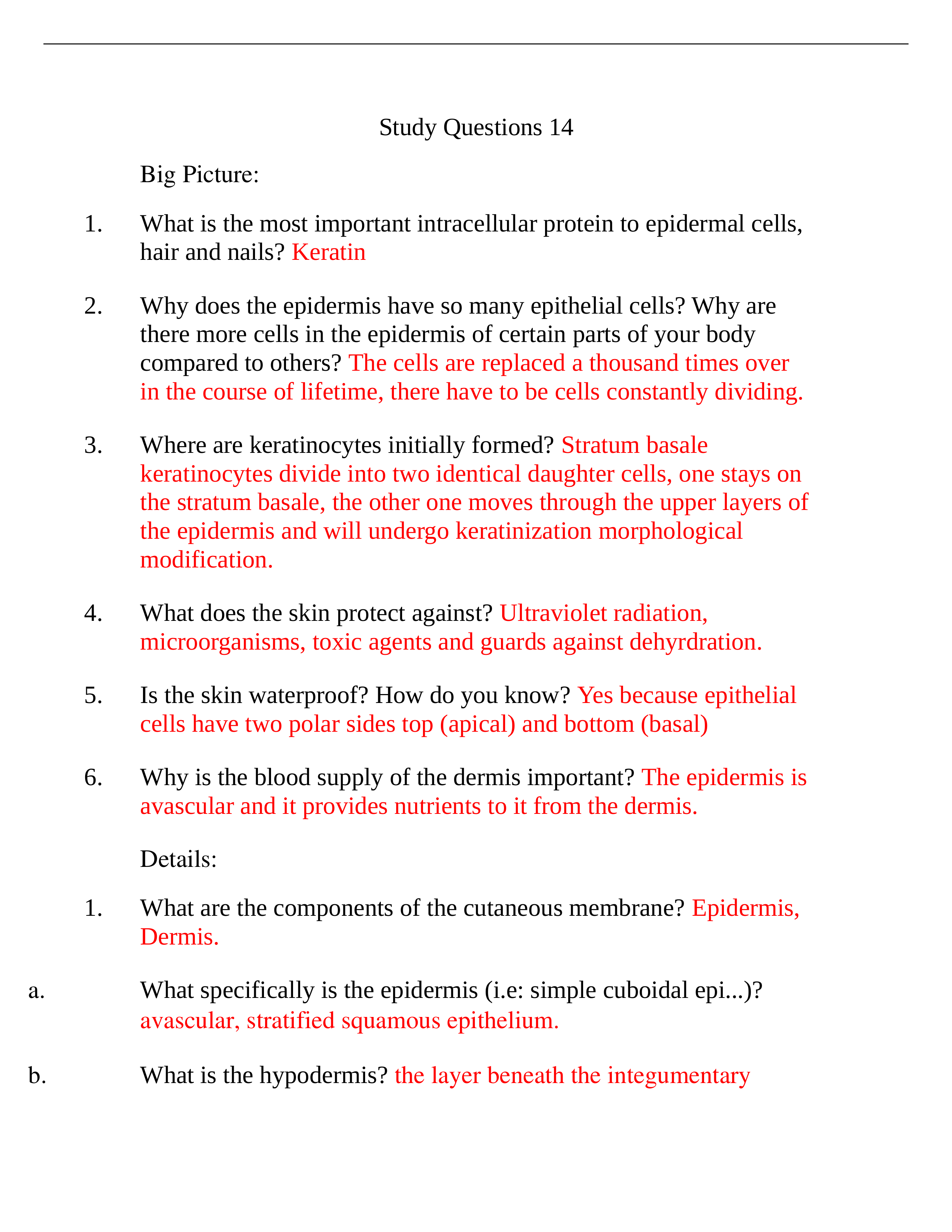 Study Questions 14_db536dnepnz_page1