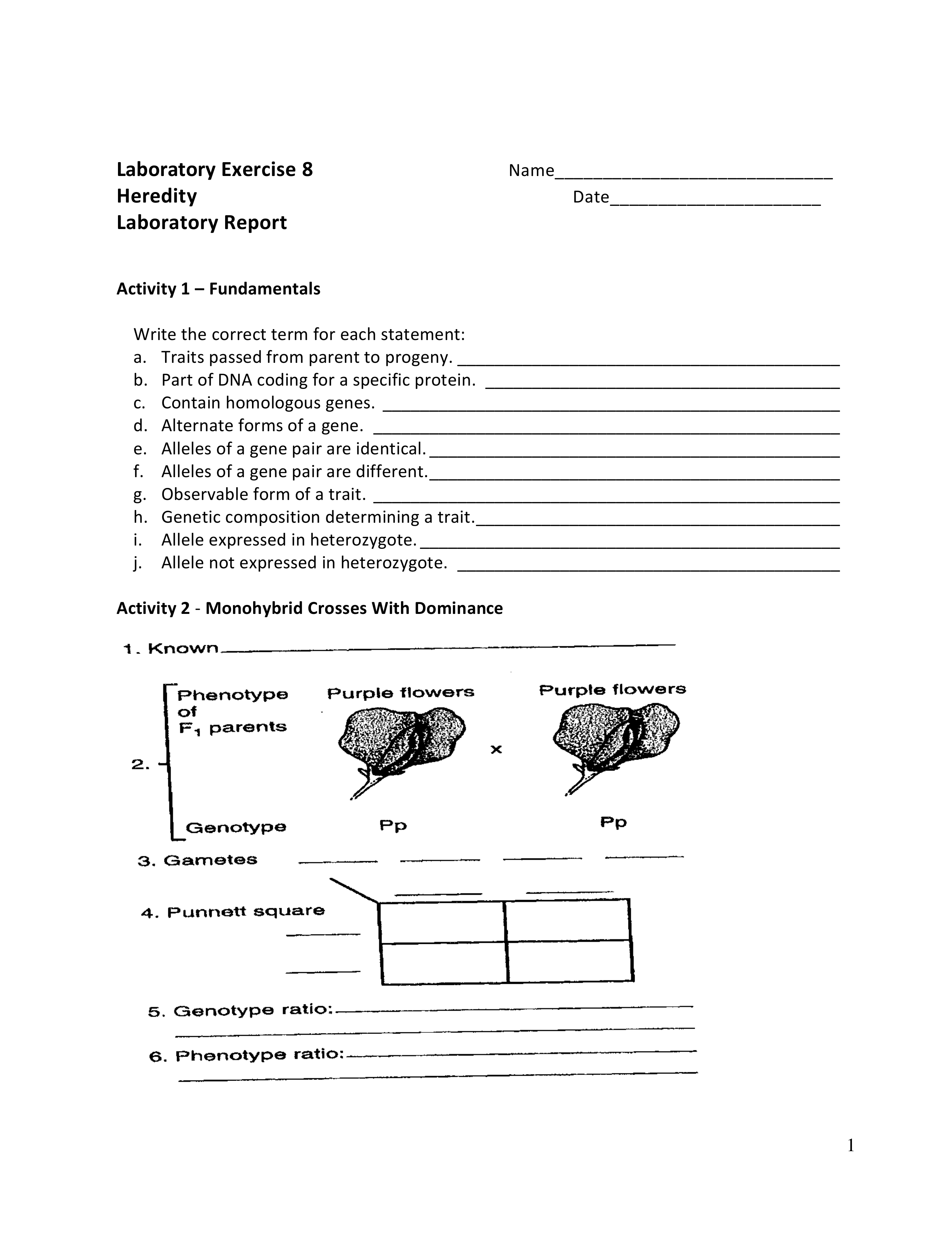 Exercise_8-Report BIOL 1111.pdf_dbkzpl5jl9f_page1