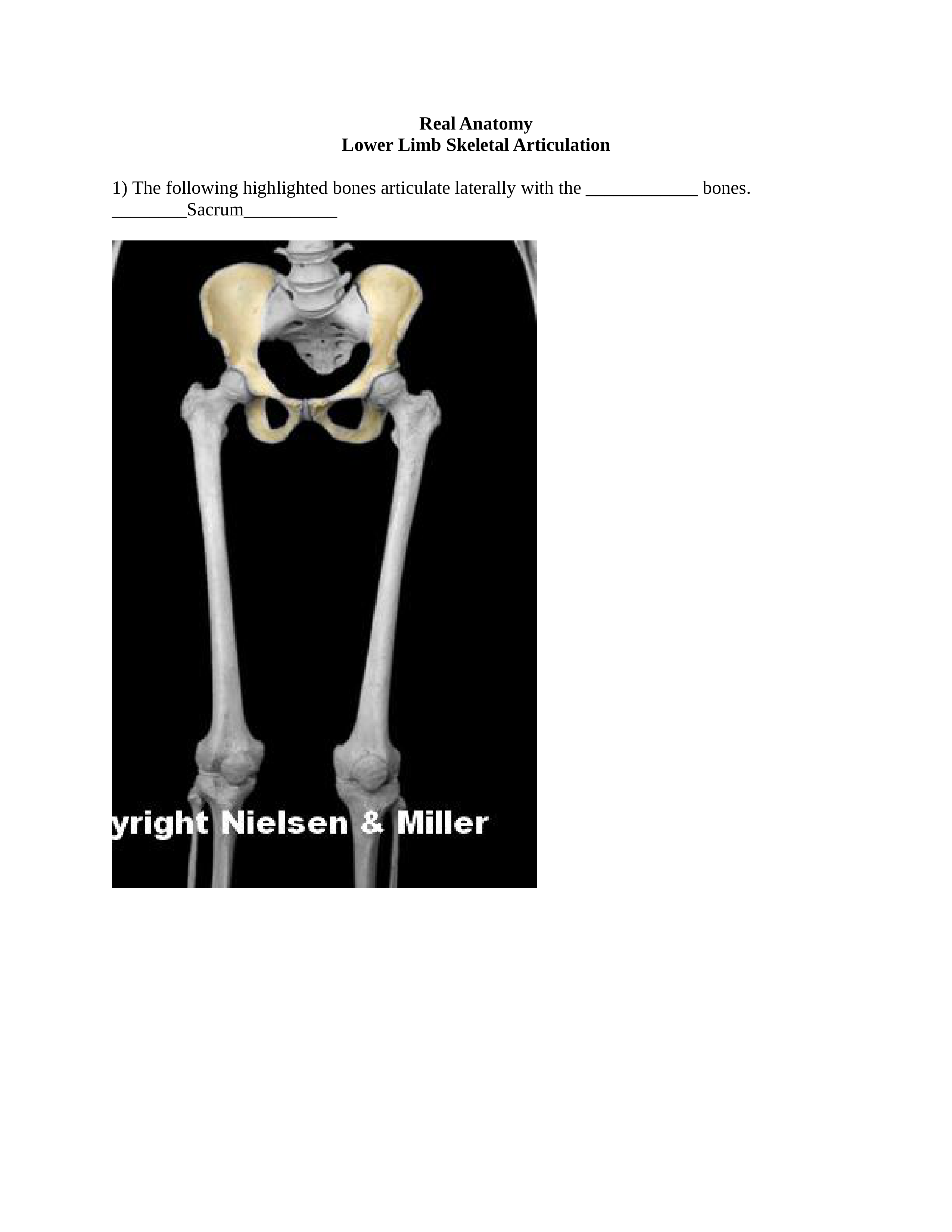 10_lower_limb_skeletal_articulation_Worksheet.docx_dbpbmr4o7ek_page1