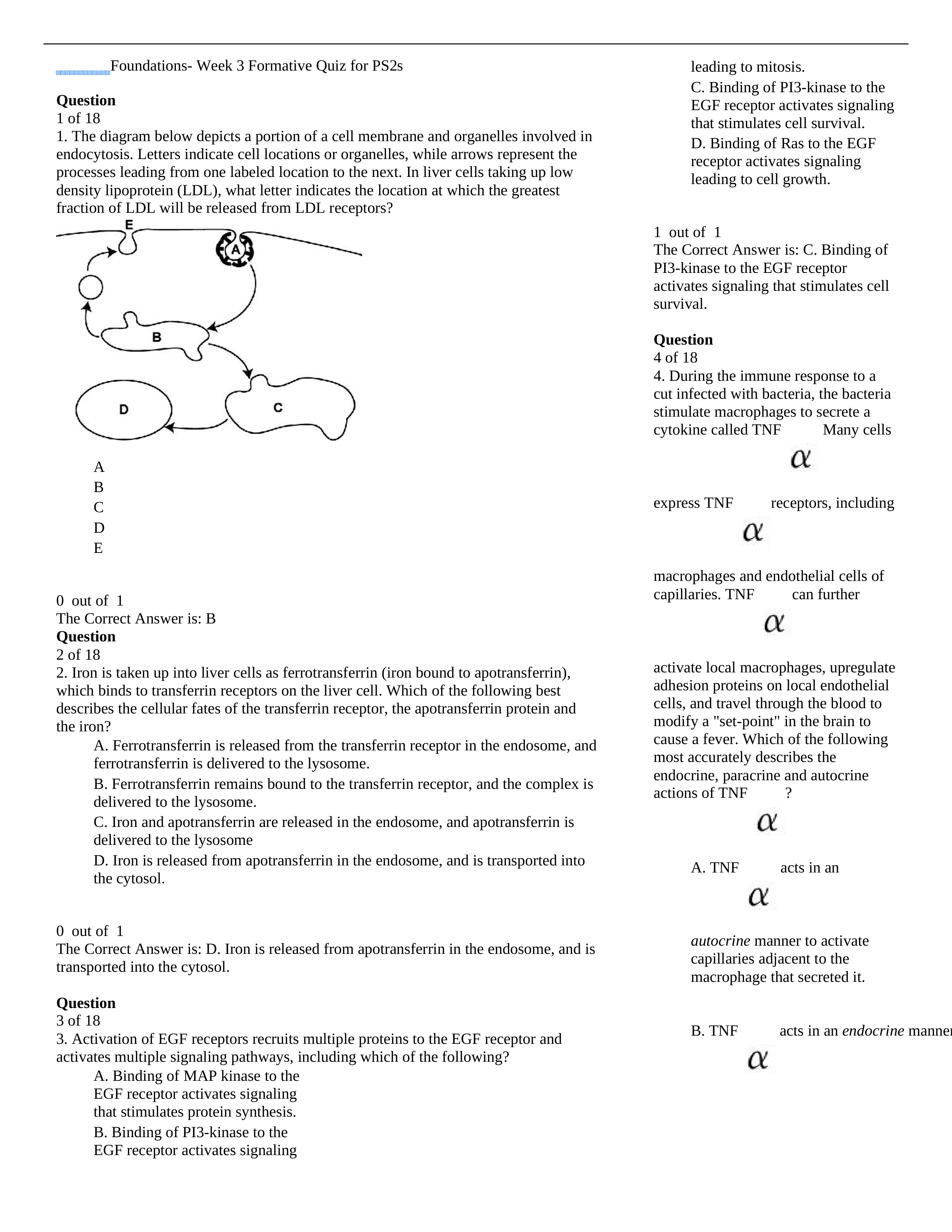 Quiz Week 03_dbq49pz0k1q_page1