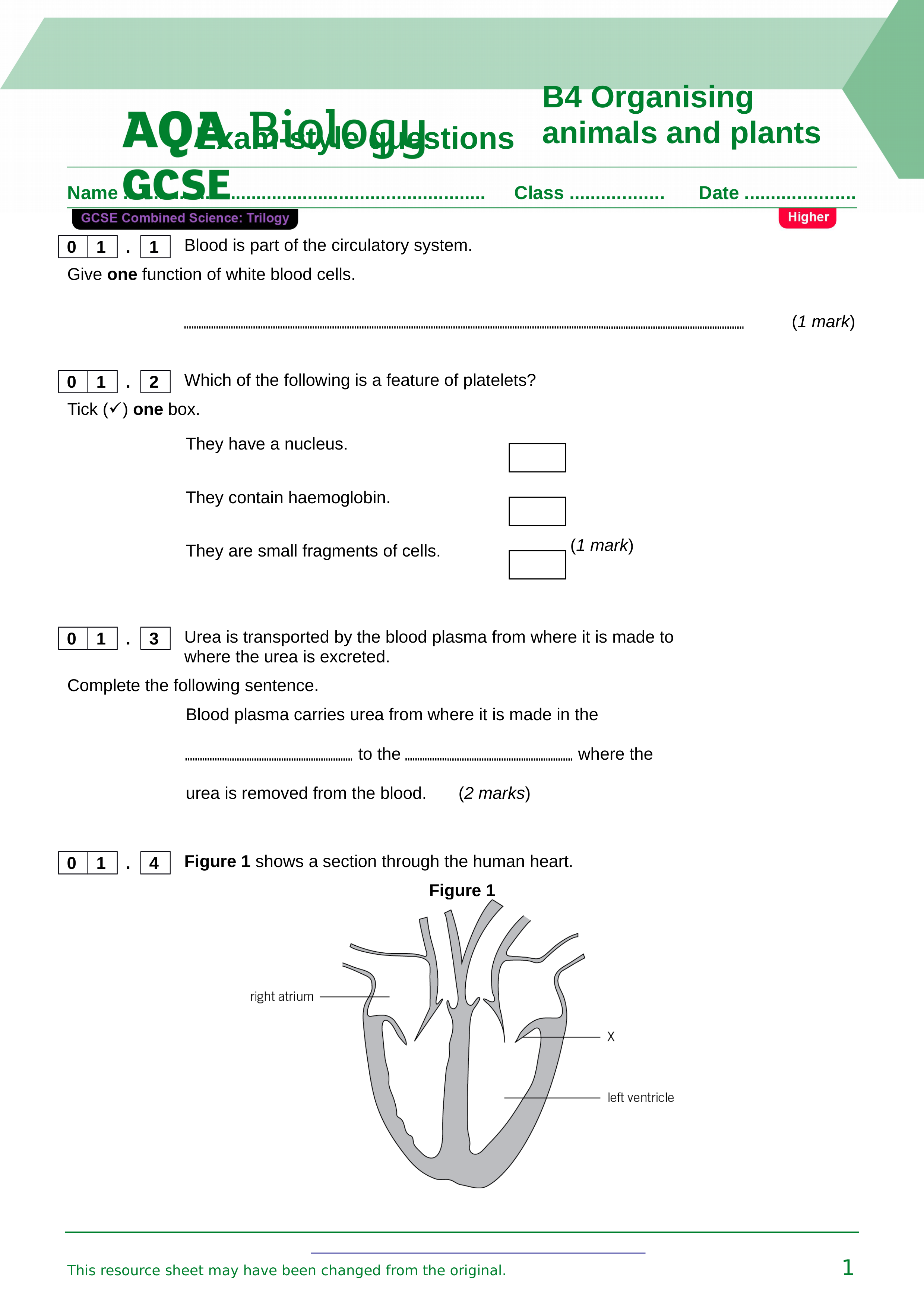 B4_Bioenergetics_H (2).doc_dbx93hu0mok_page1