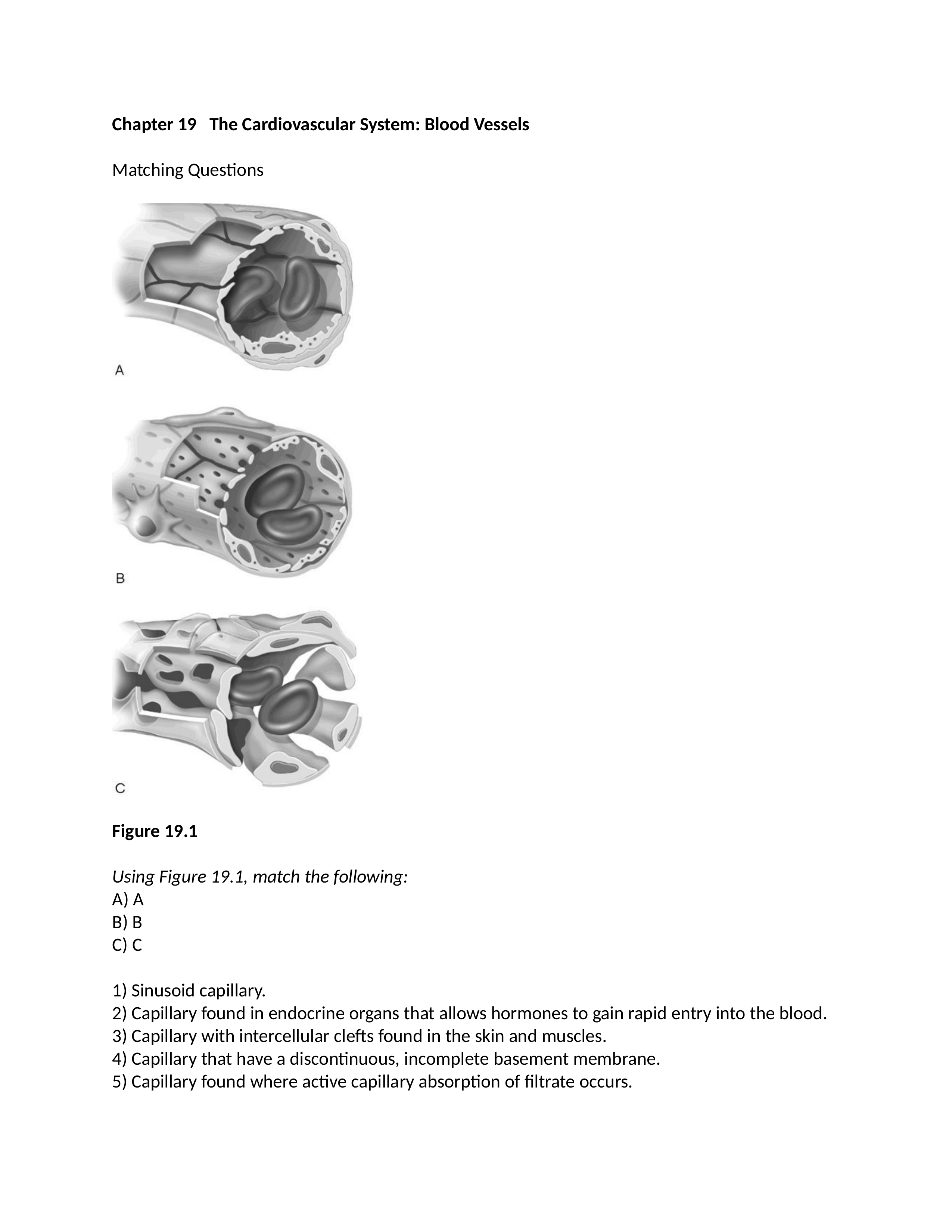 ch_19_worksheetk.docx_dc2b2y5ys5t_page1