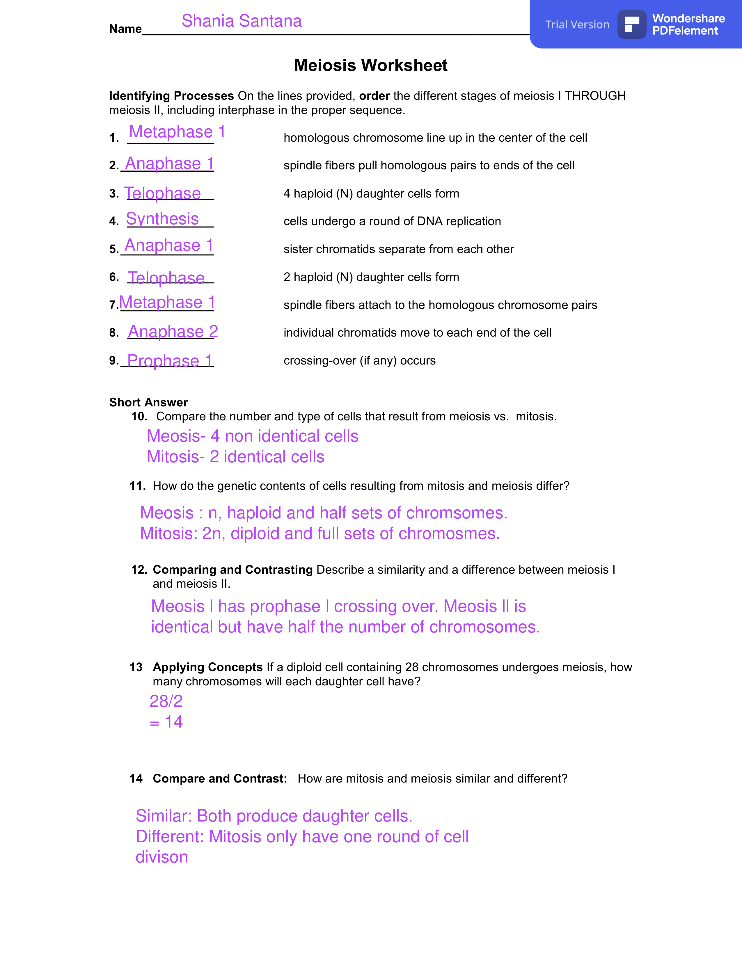 meiosis_worksheets.pdf_dc8ovbvwb8y_page1