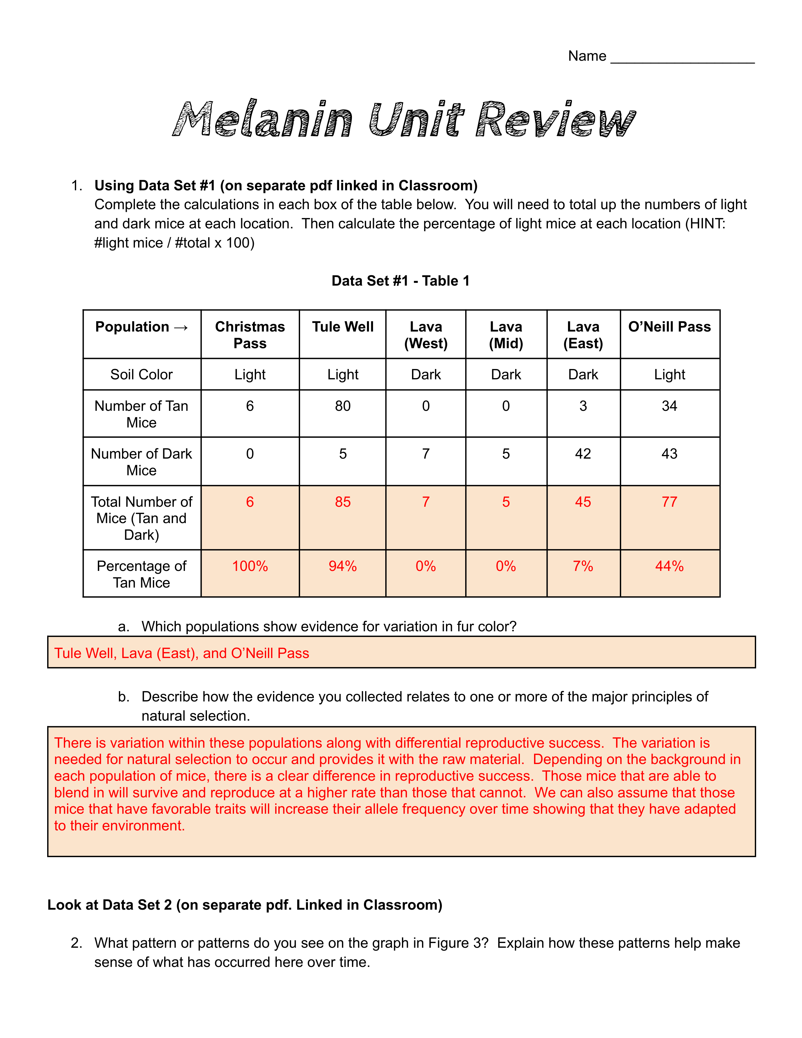 Copy of KEY: Melanin Unit Review.pdf_dcb3iuqto7e_page1