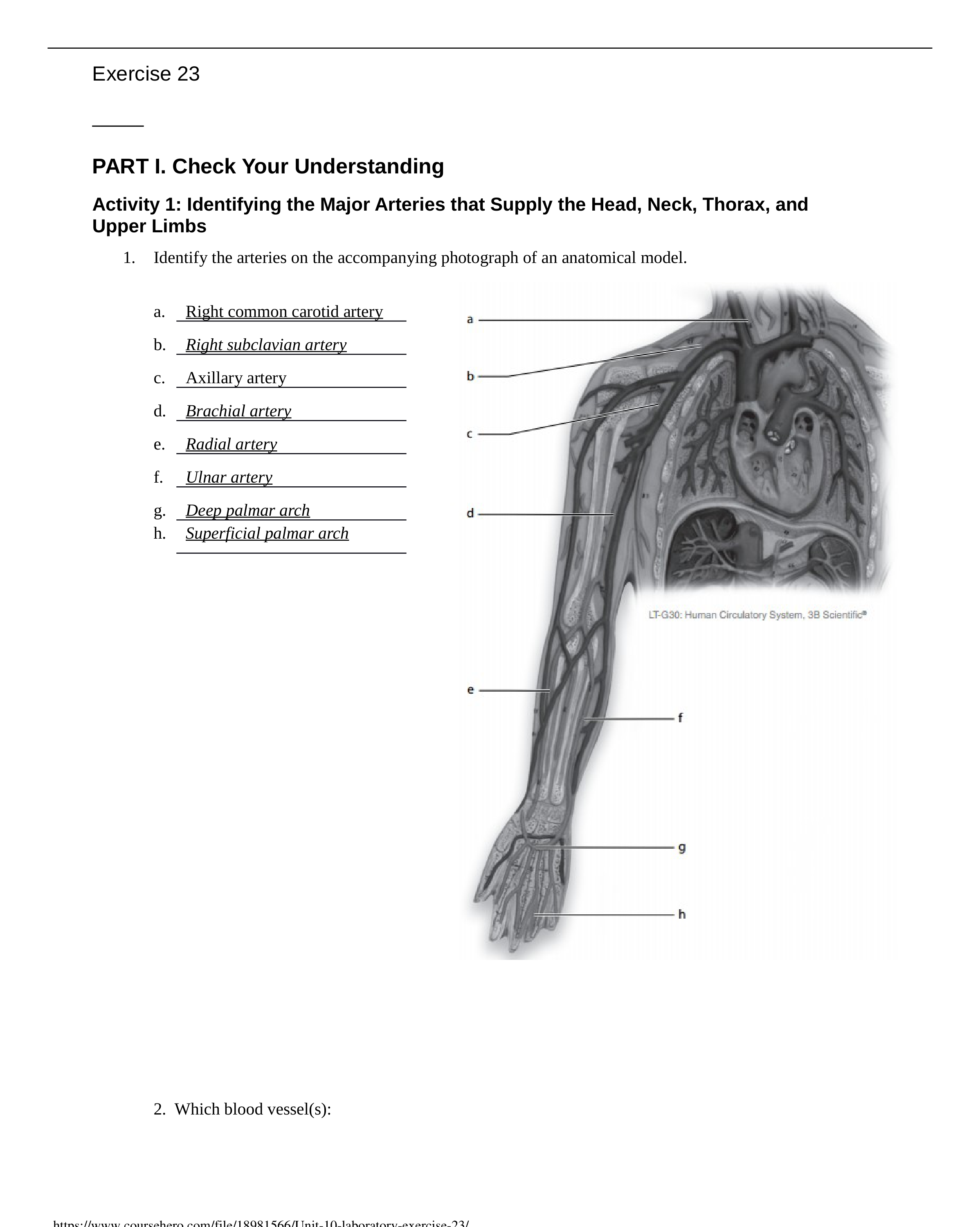 Unit 10 laboratory exercise 23_dcg7l5dm9ru_page1