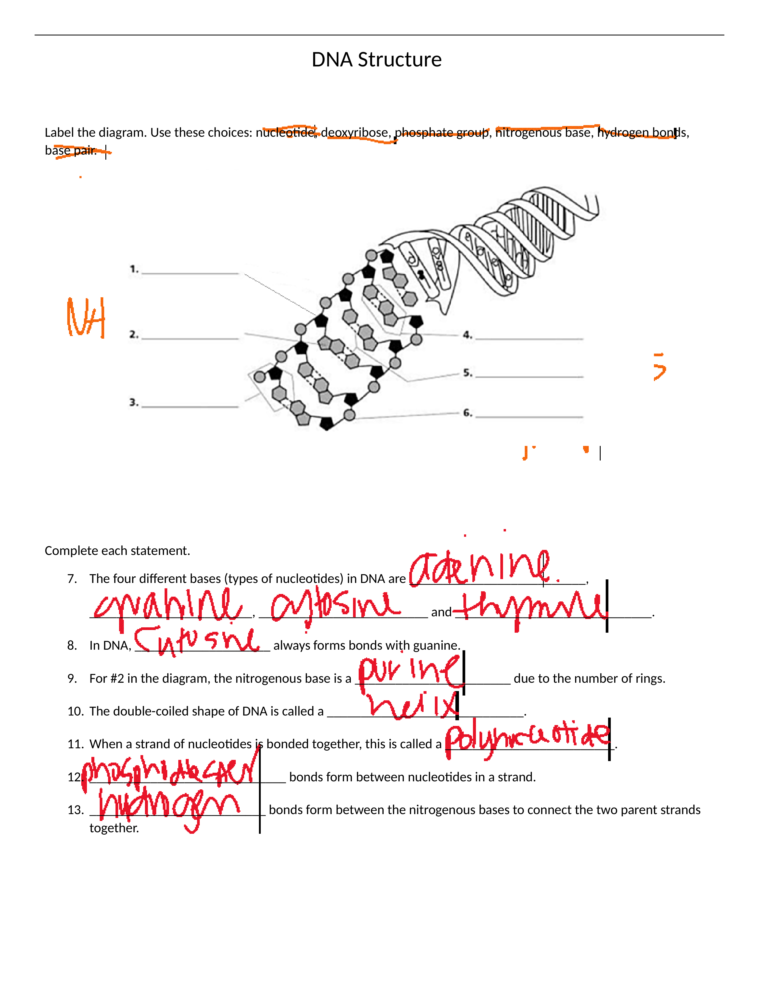 Unit 4 Worksheet 2020[353].docx_dcpmbezrxd4_page1