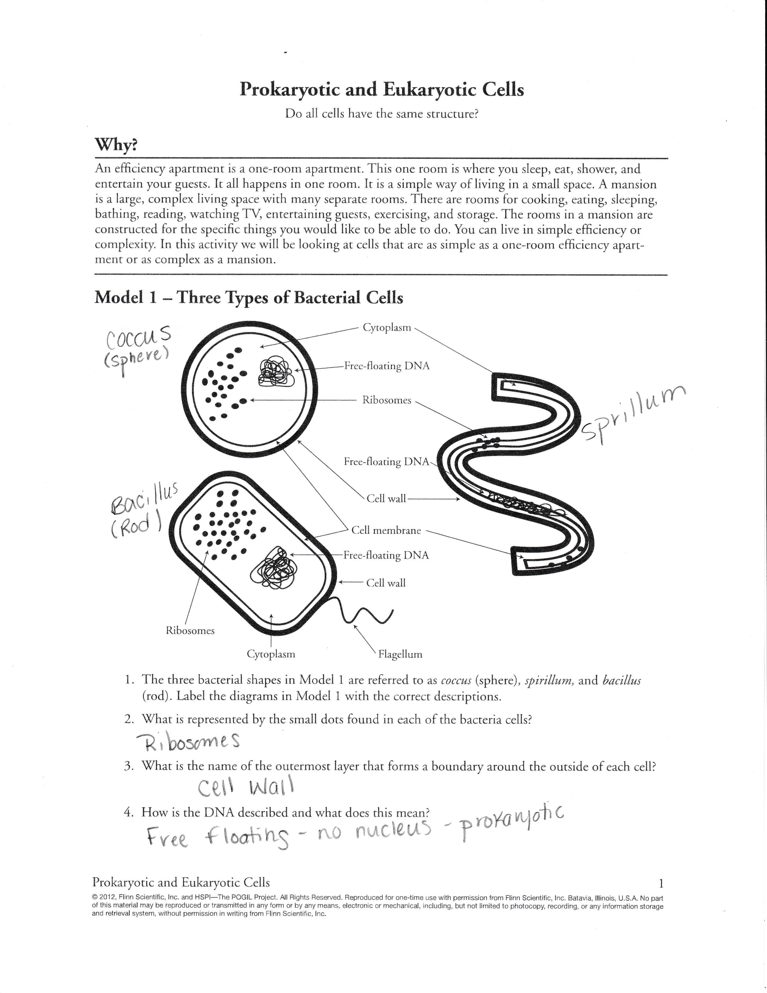 WorkSheet 1.pdf_dcvhlwjfqps_page1