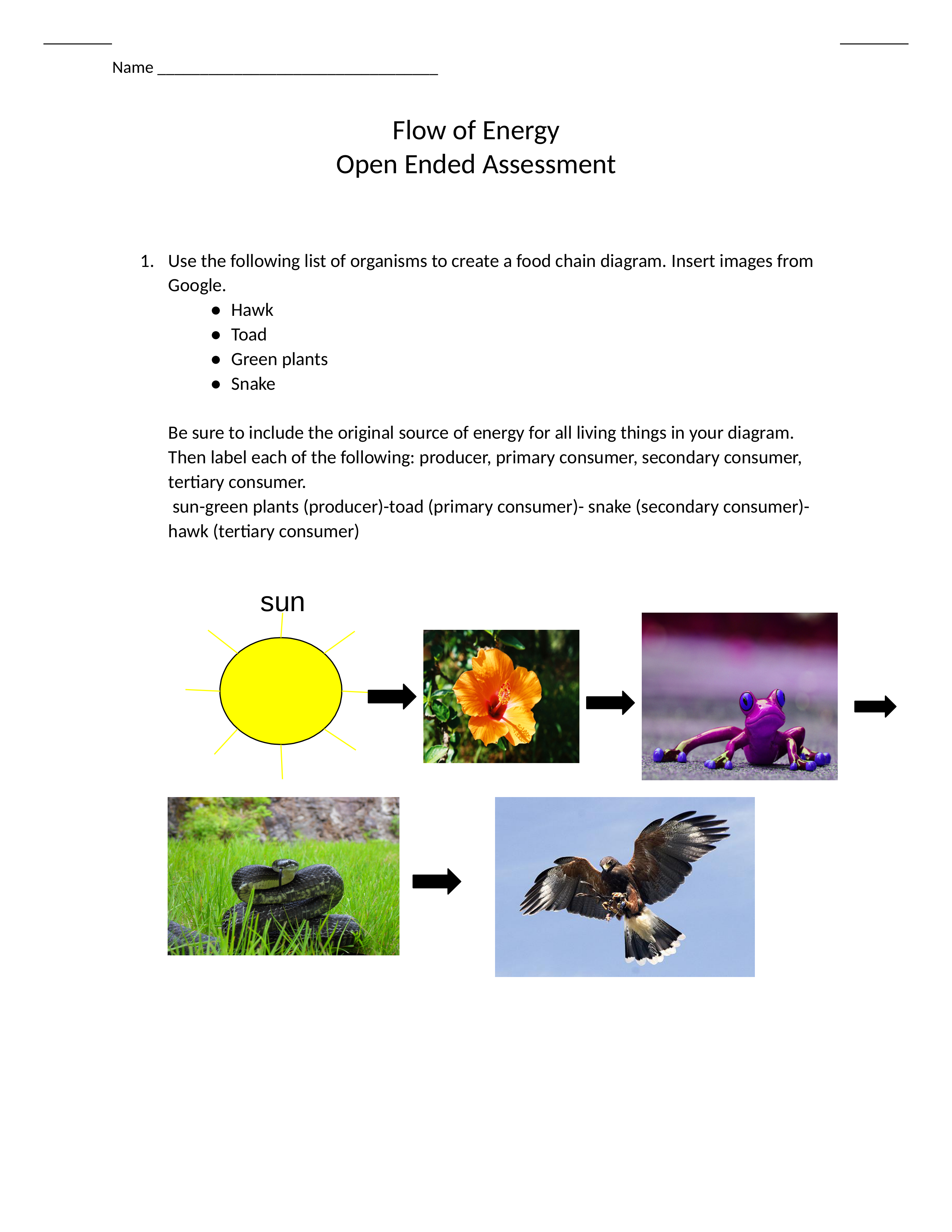 Copy of Flow of Energy Open Ended Assessment.docx_dcvhzmb4rxz_page1