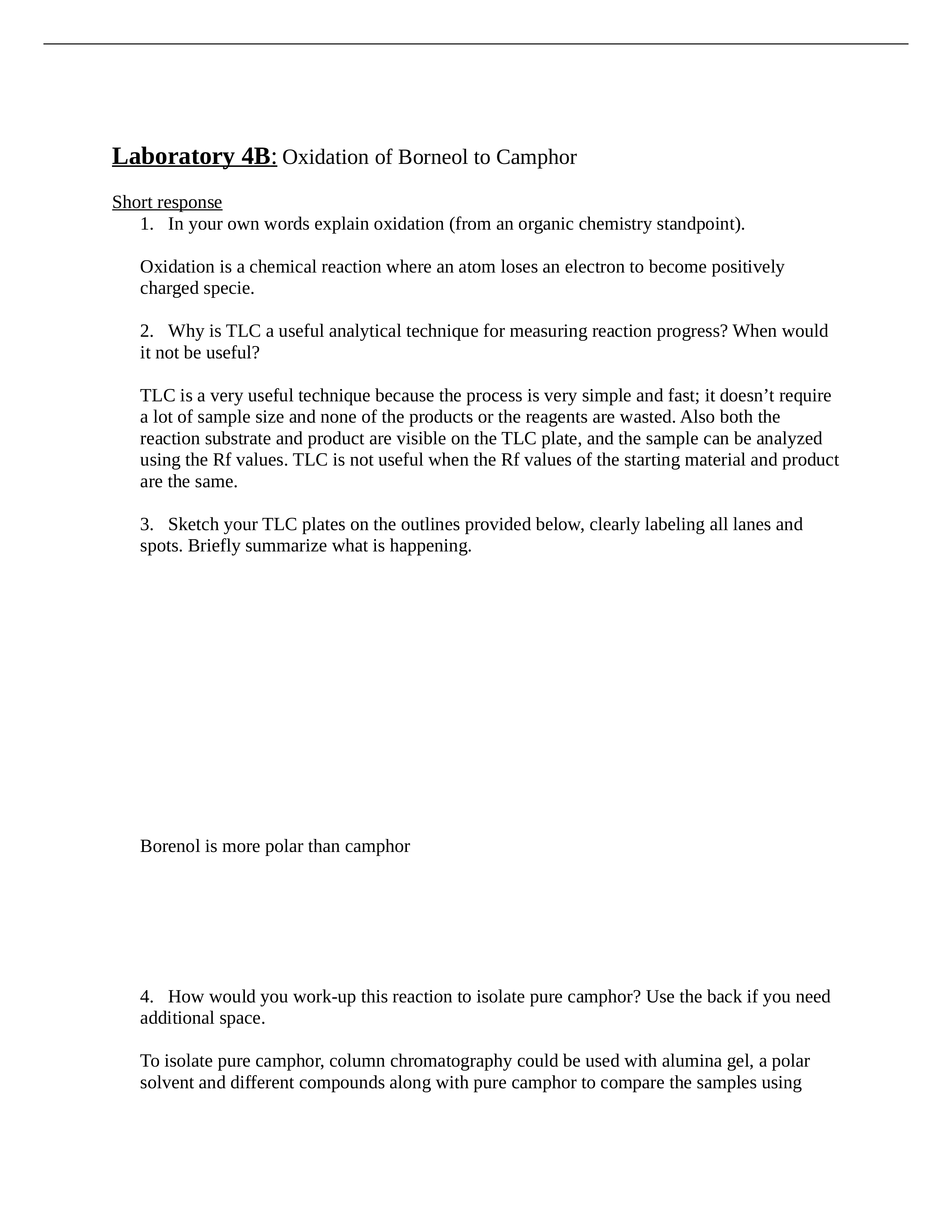 Chem 243b - oxidation Worksheet (2)_dd066zish1p_page1