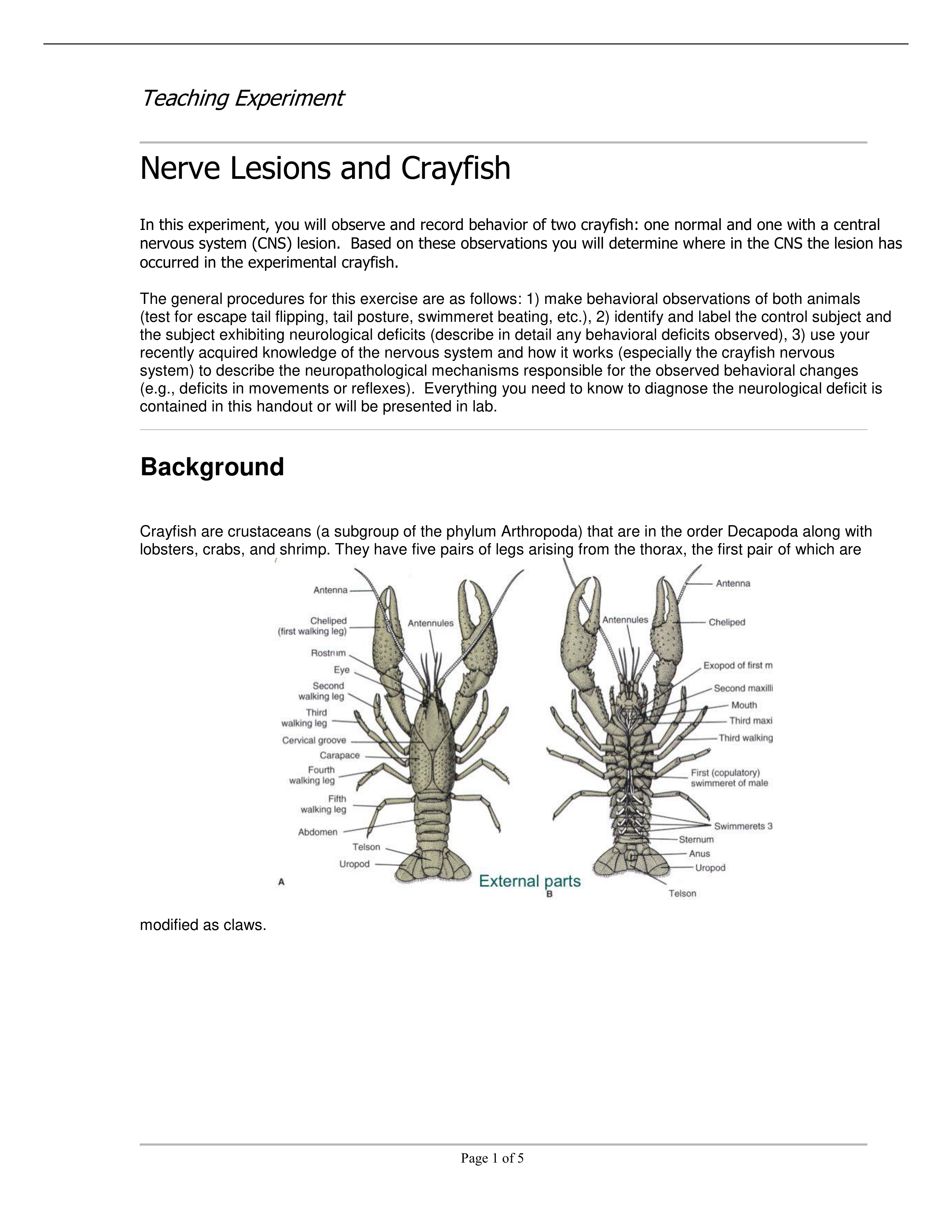 crayfishlab (1).pdf_dd5hlyx7cpq_page1