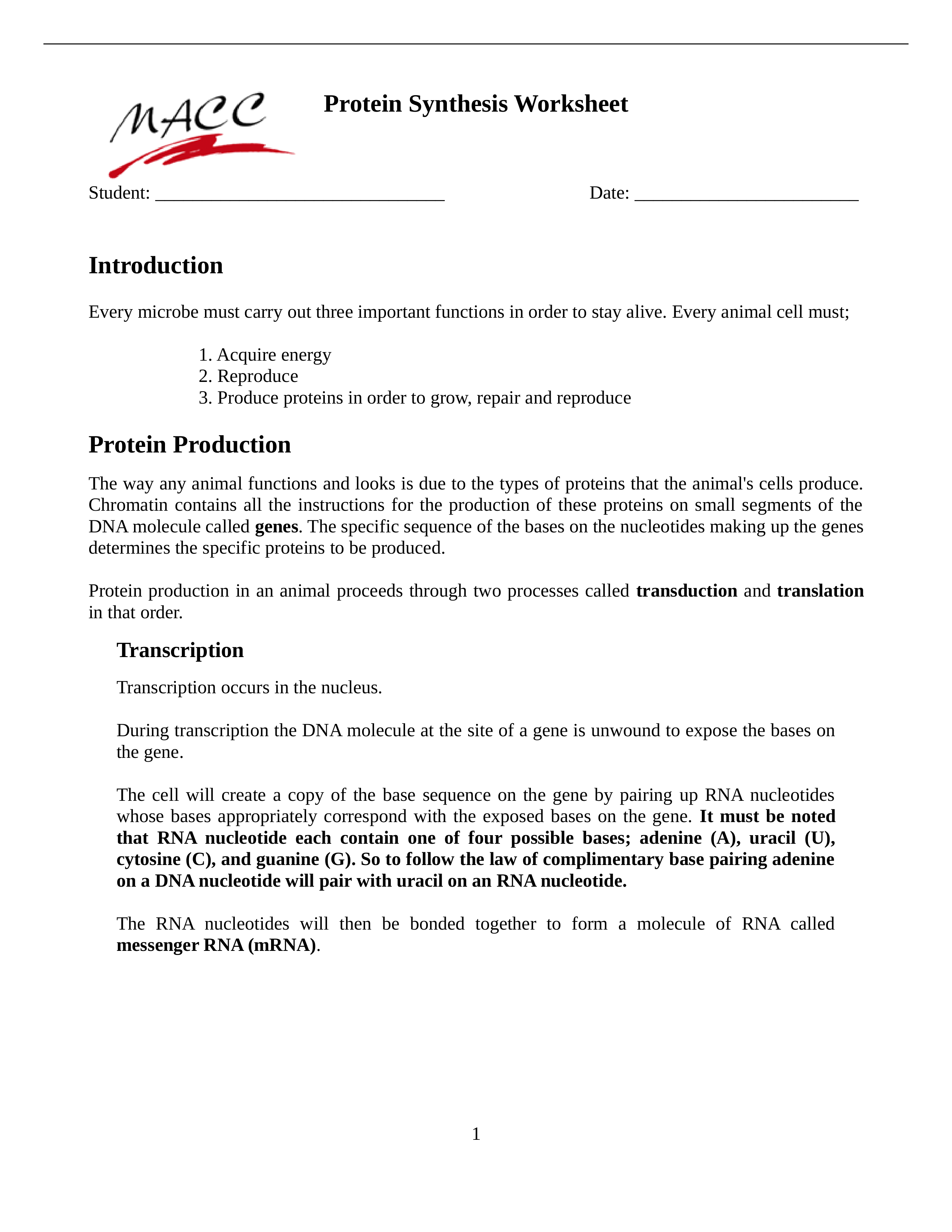 Protein Synthesis Worksheet (1).doc_dd737h2o59m_page1