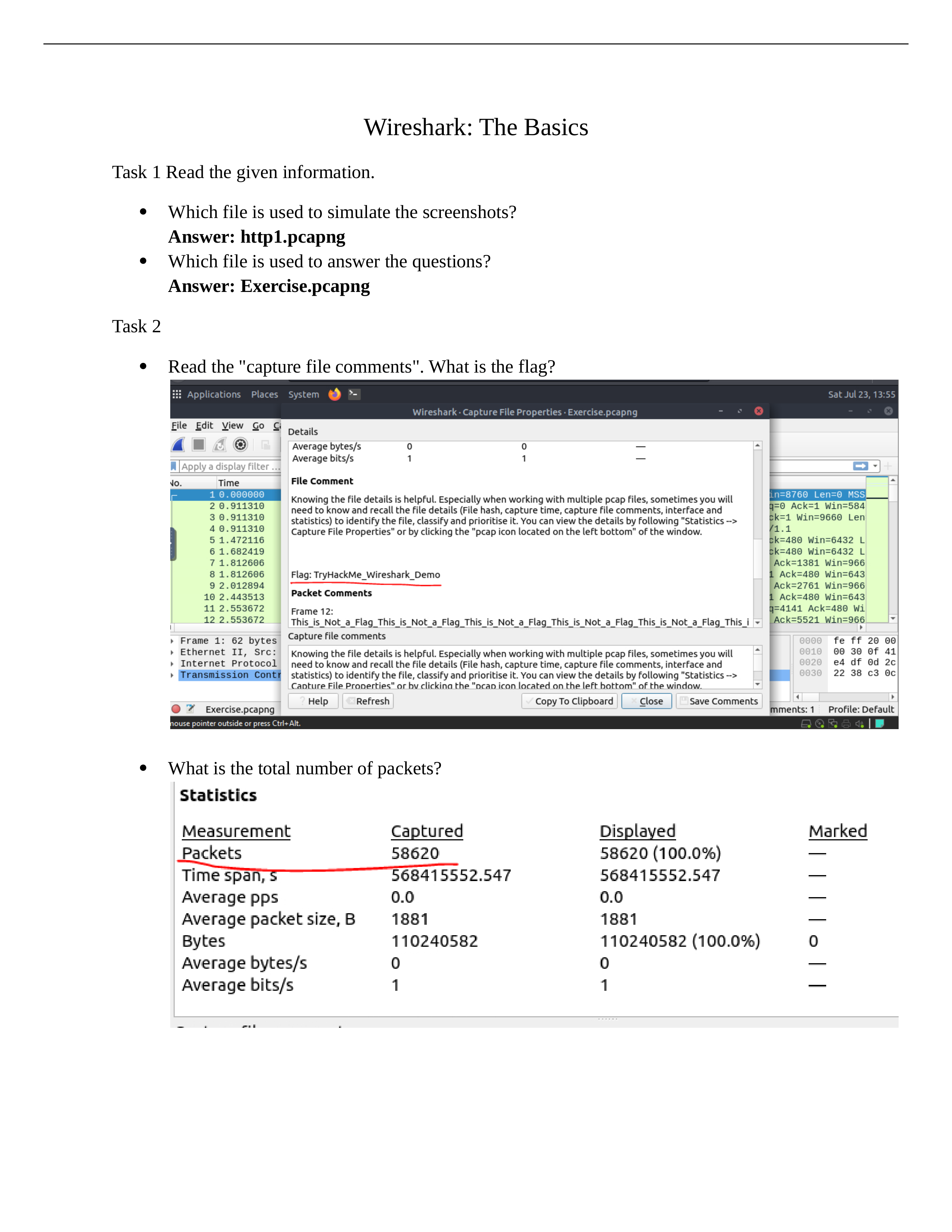 Wireshark.docx_ddvisim9kvs_page1