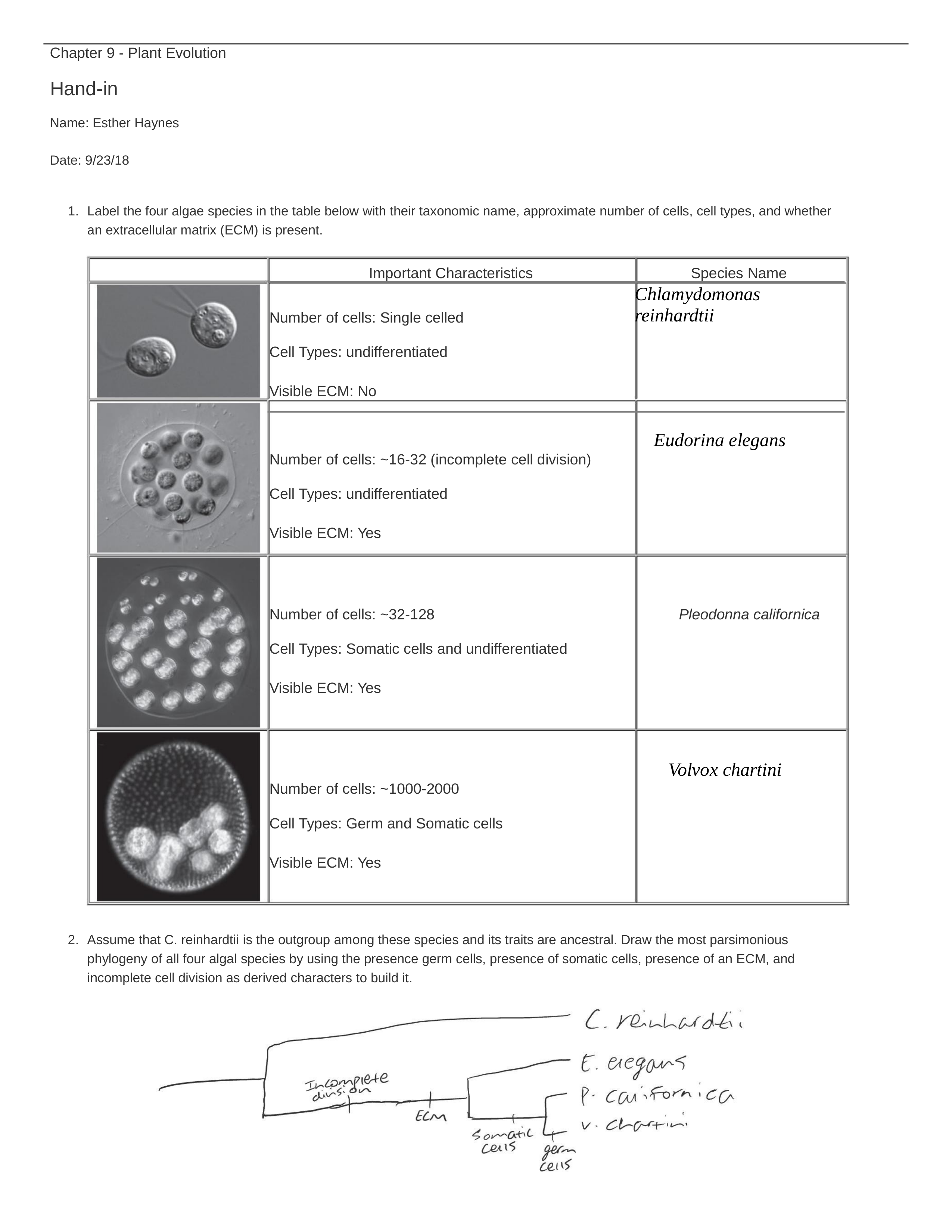 Haynes.Chapter9.doc_ddvqnbkdaj9_page1