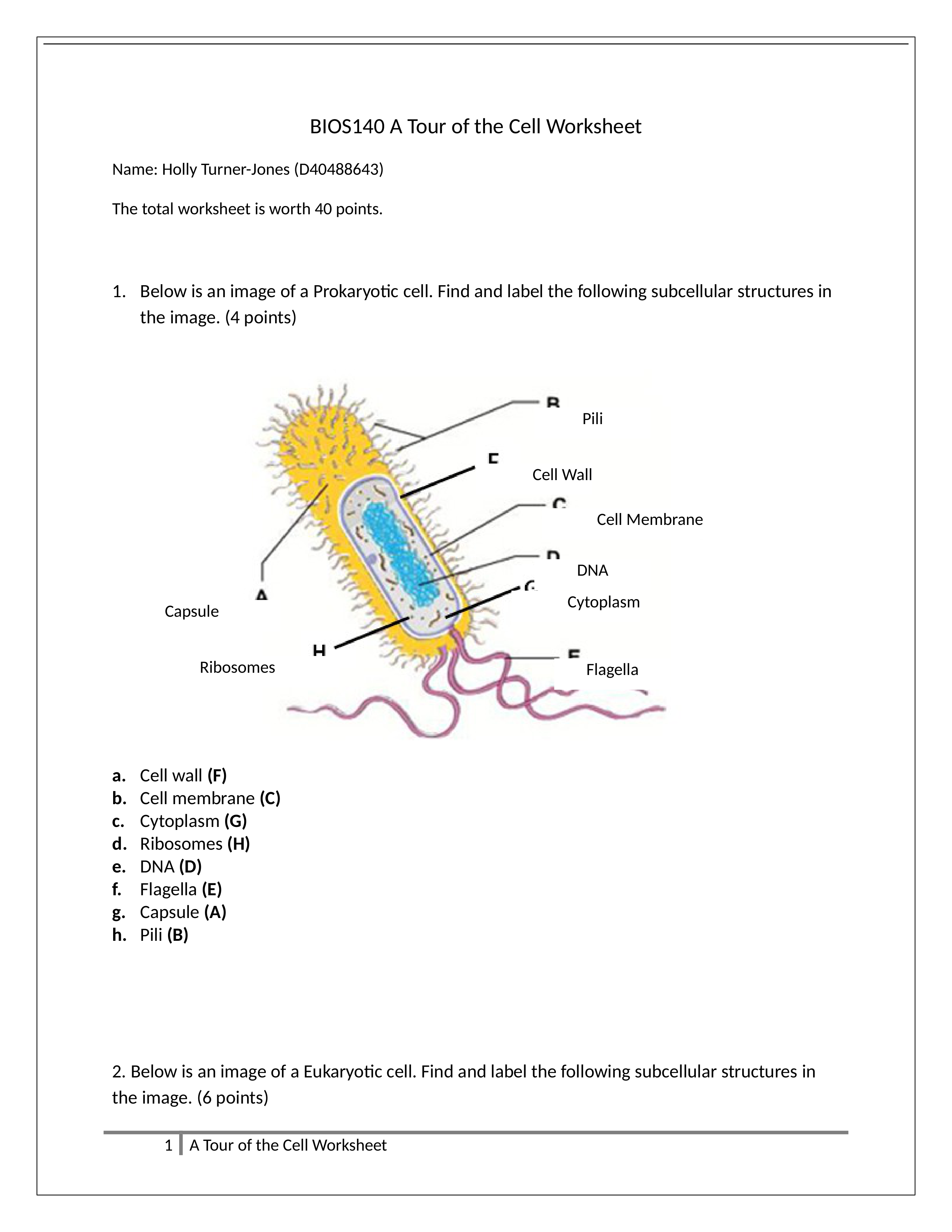 Assignment - Tour of the Cell Worksheet_ddzvqj0dk0p_page1