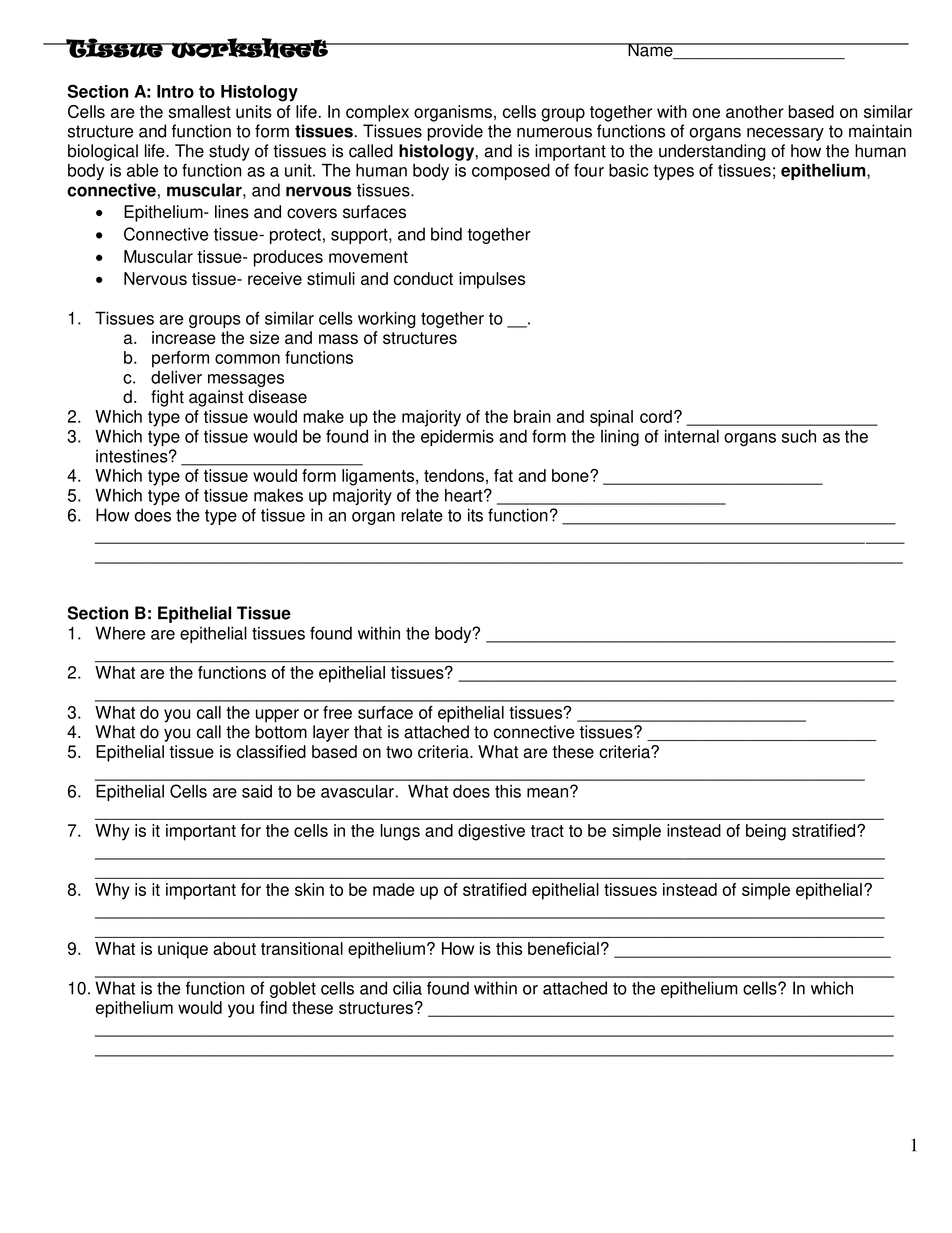 histology worksheet_de6i40napyu_page1