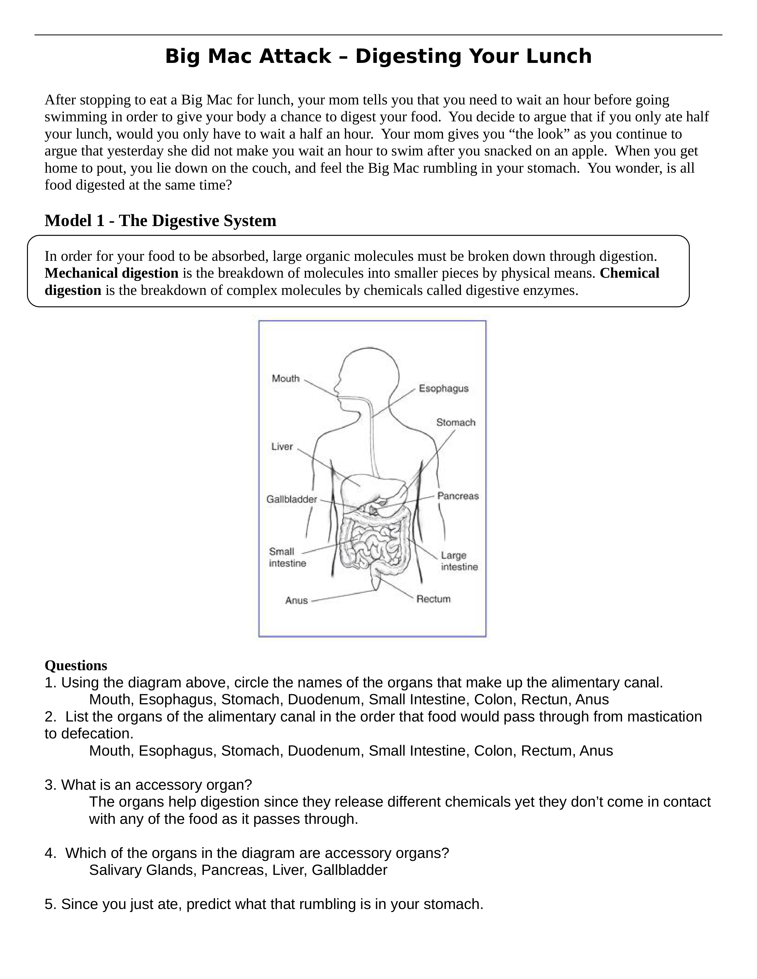 Big Mac Attack Worksheet.docx_de79p86obcj_page1