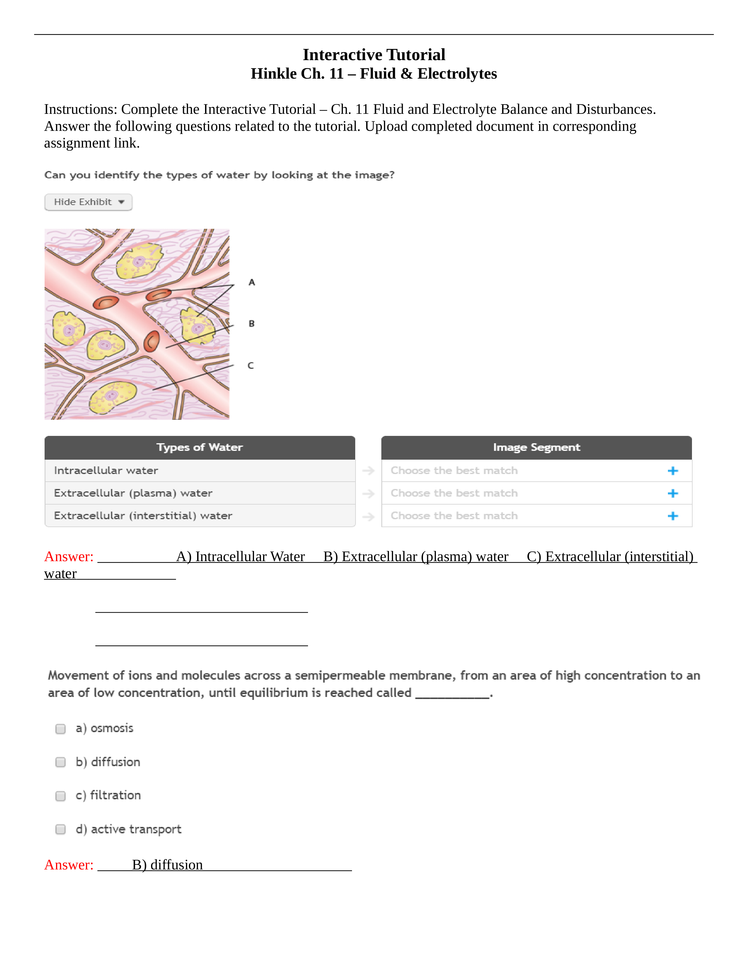 Wk 3 - Fluid & Electrolyte Interactive Tutorial (1).docx_dedkvca2isn_page1