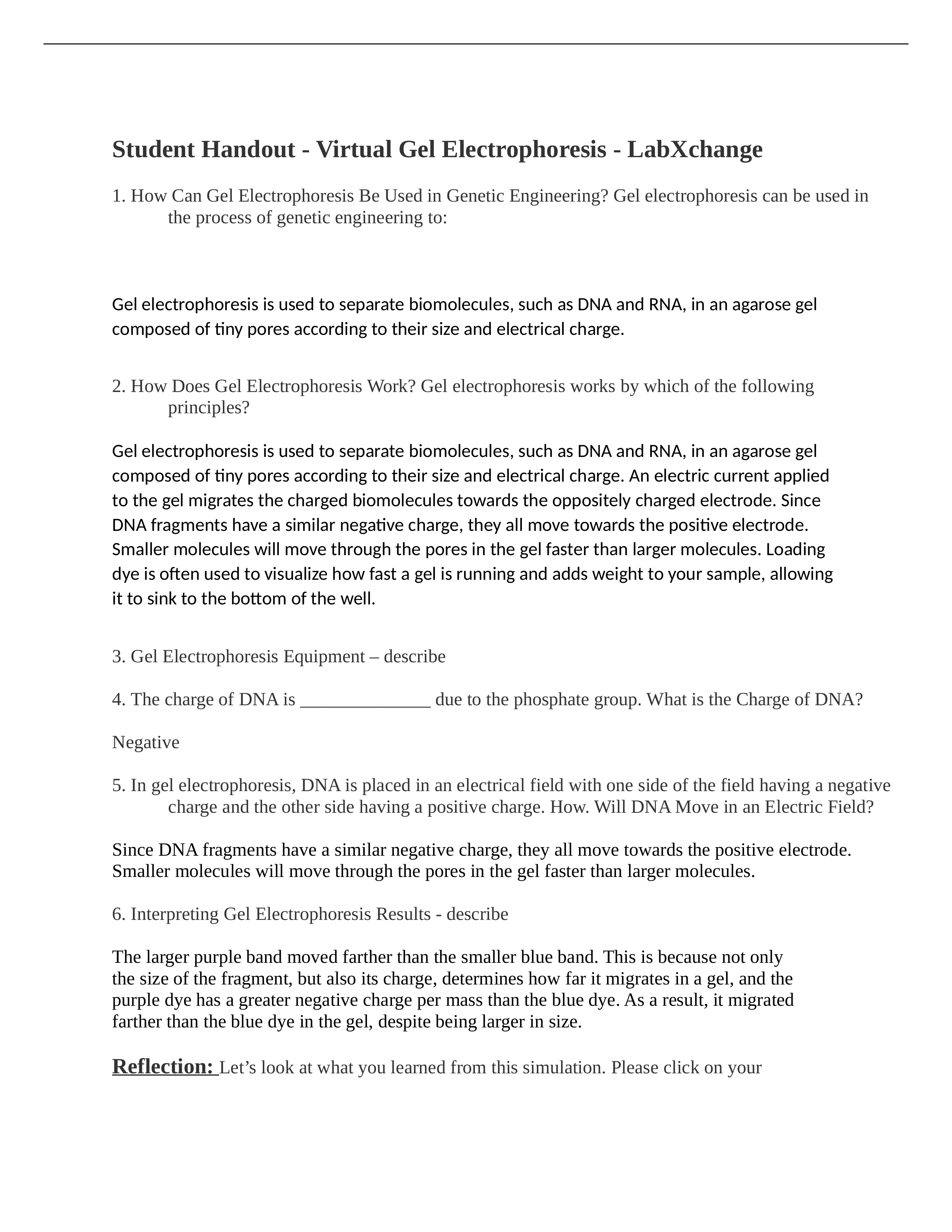 Student Handout - Virtual Gel Electrophoresis - LabXchange.docx_deg4qy79xwq_page1