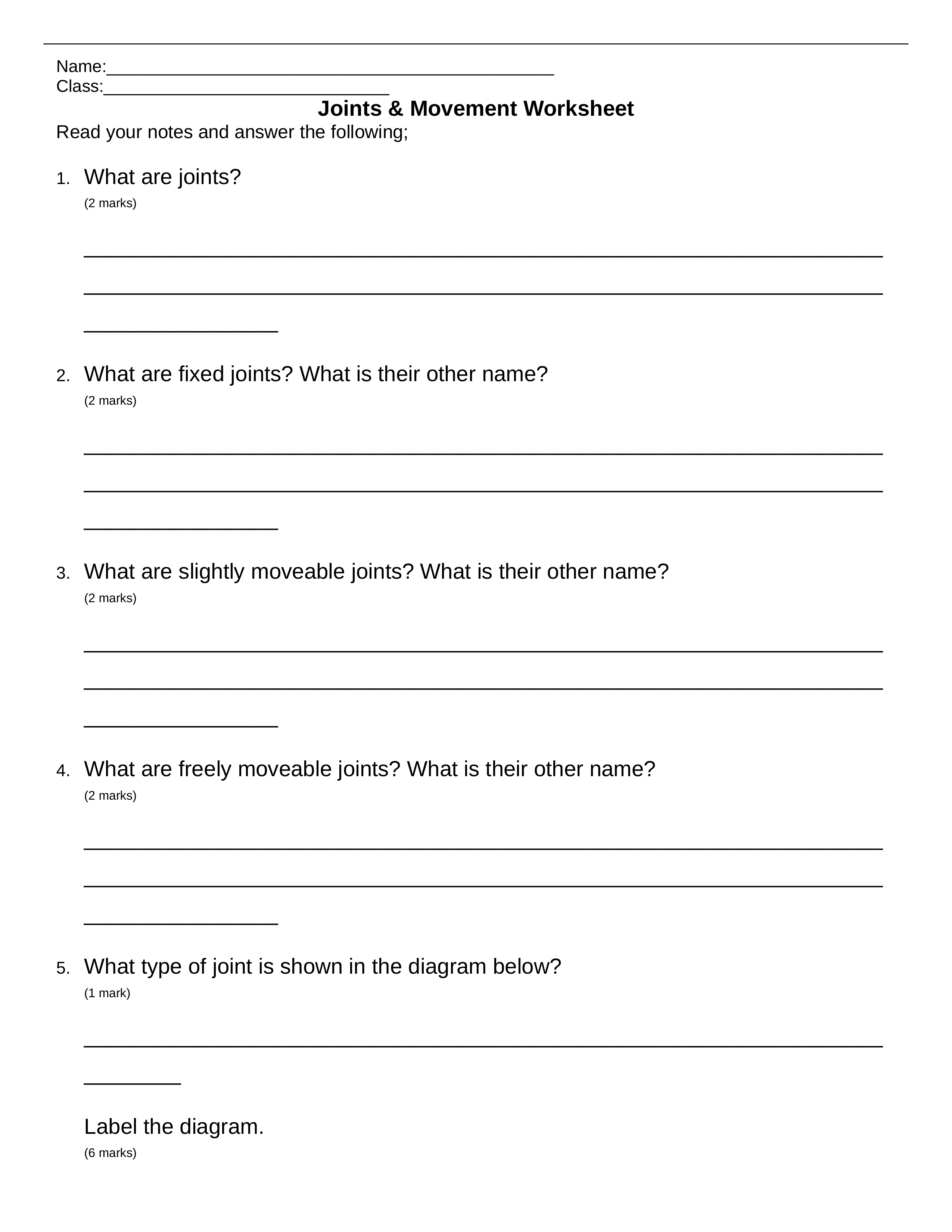 Joints & Movement Worksheet_dekf9bicven_page1