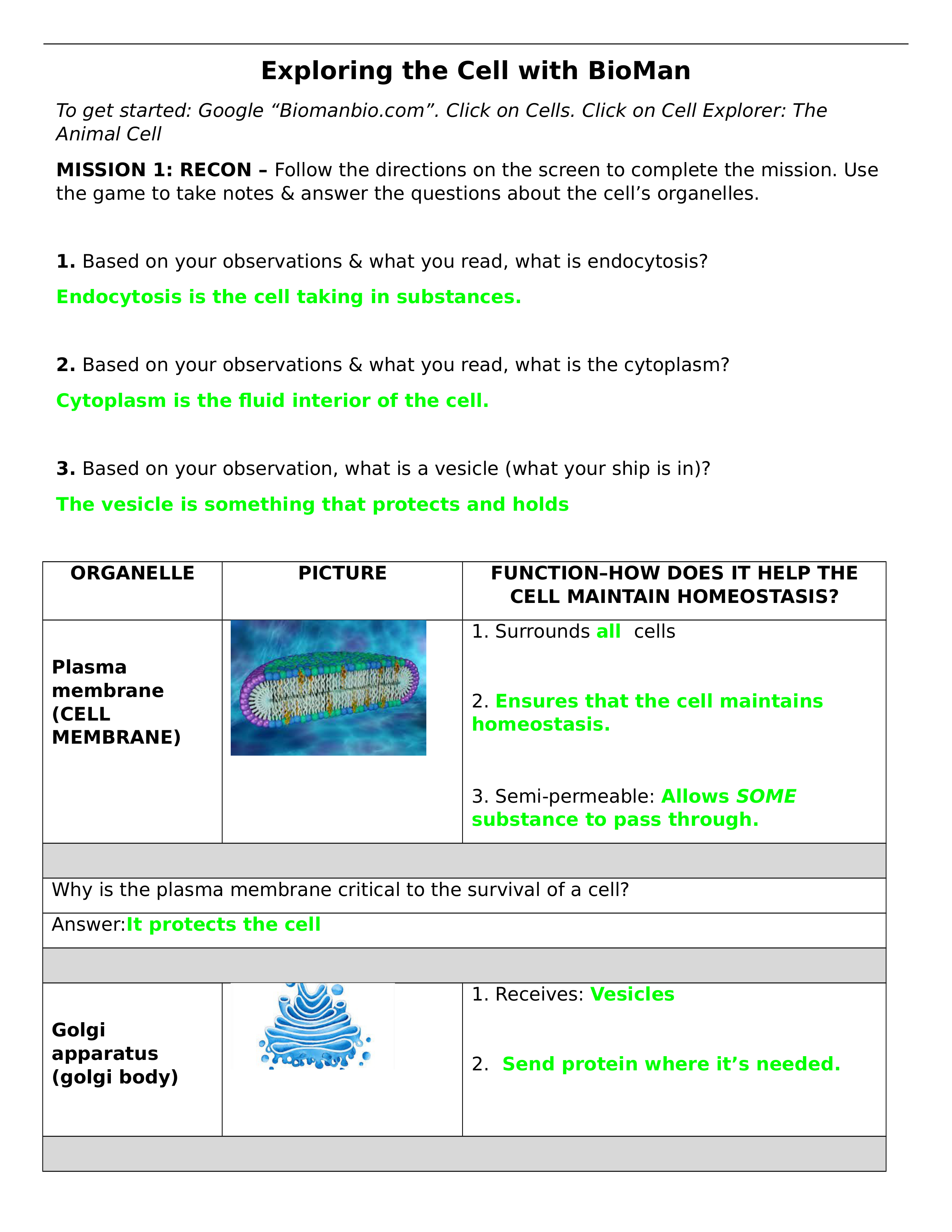 Exploring the Cell with BioMan.docx_dekkredi98k_page1