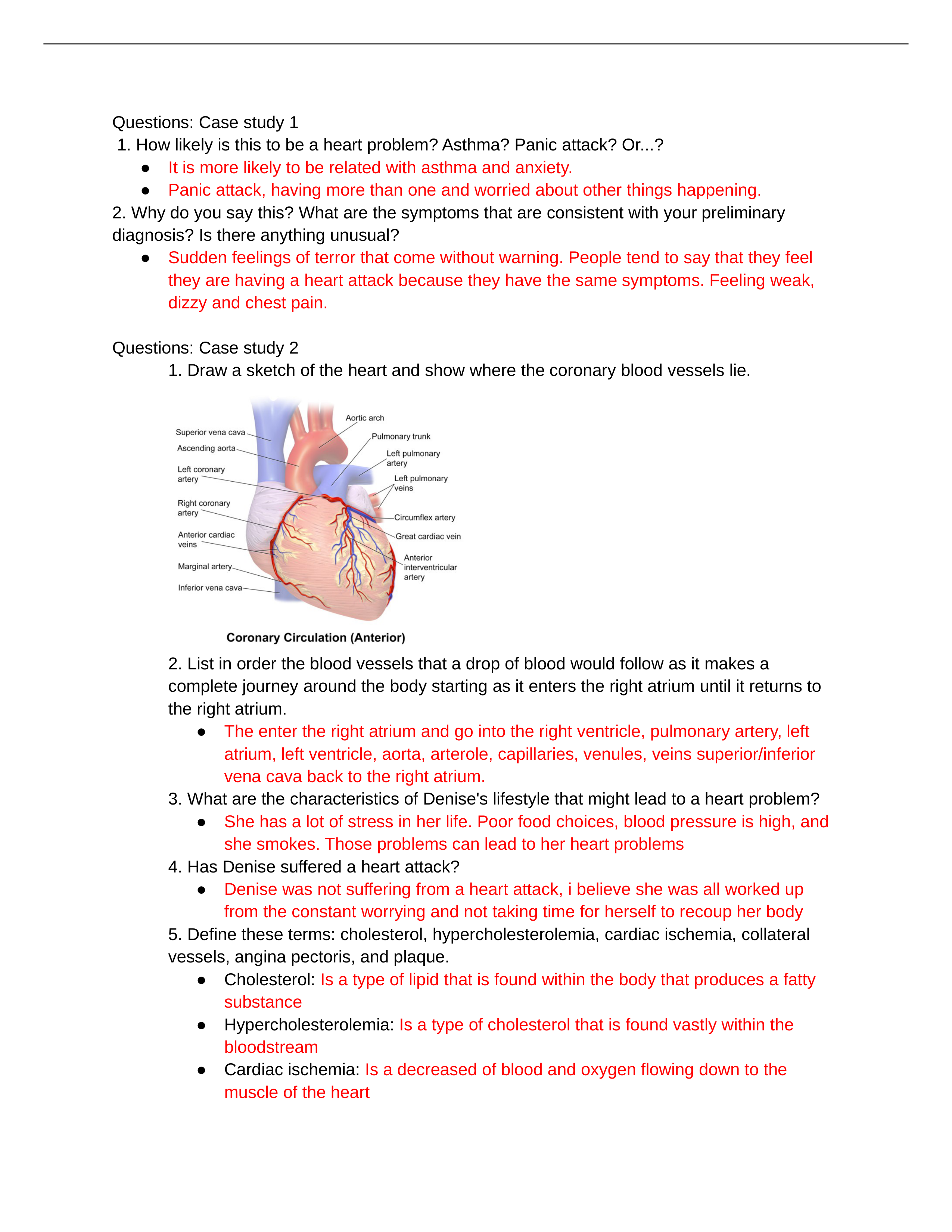 Case Study 1 (1).docx_dff1t9j4hy1_page1