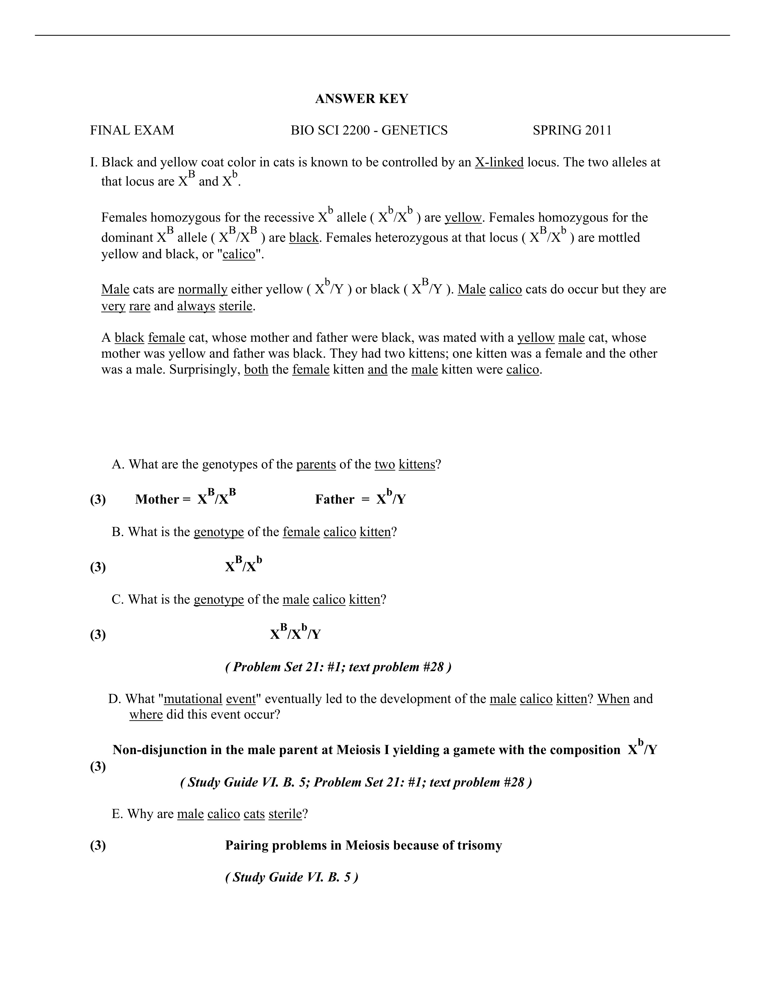 Final Exam: Genes and Mutations_dffy9i06mfj_page1