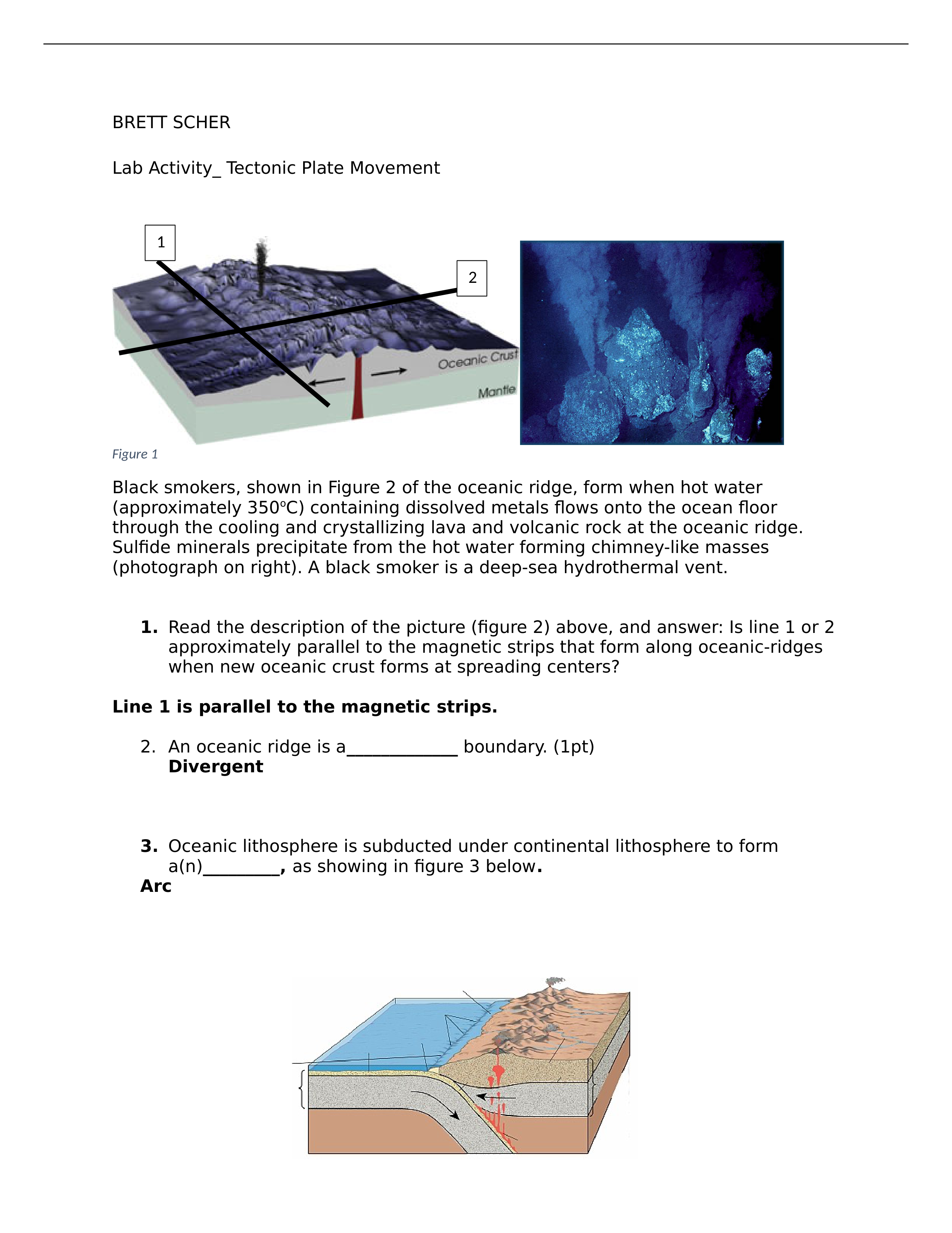 Lab 4_Tectonic Plates (2).docx_dfh6q7d9s47_page1