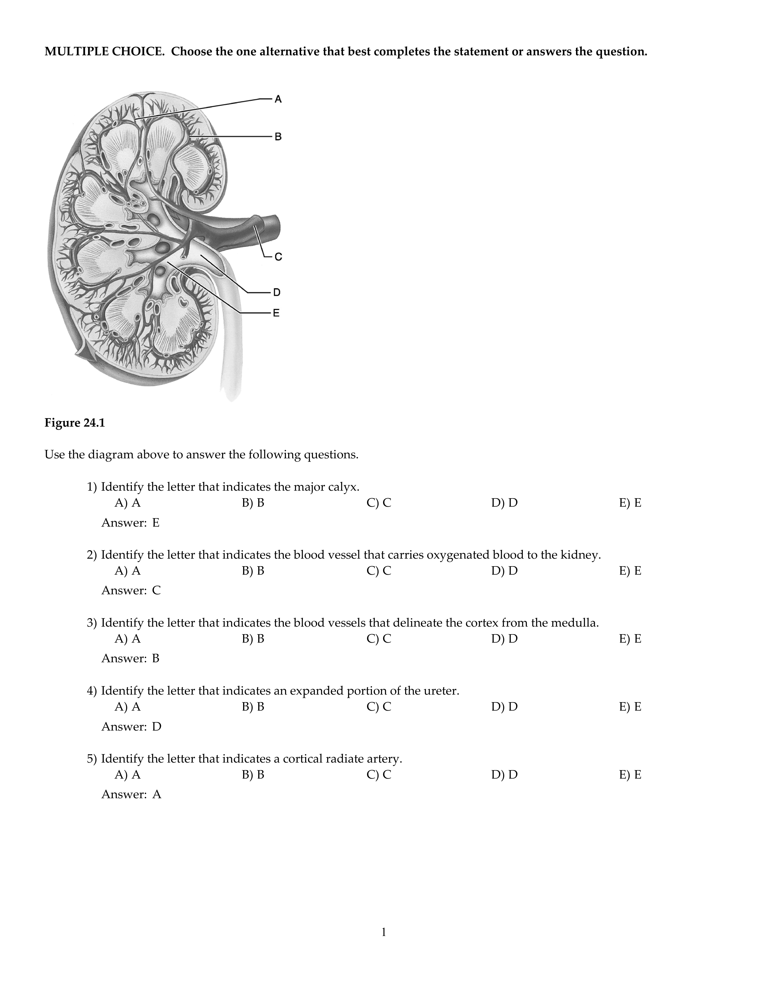 CH24.pdf_dg050ns319j_page1