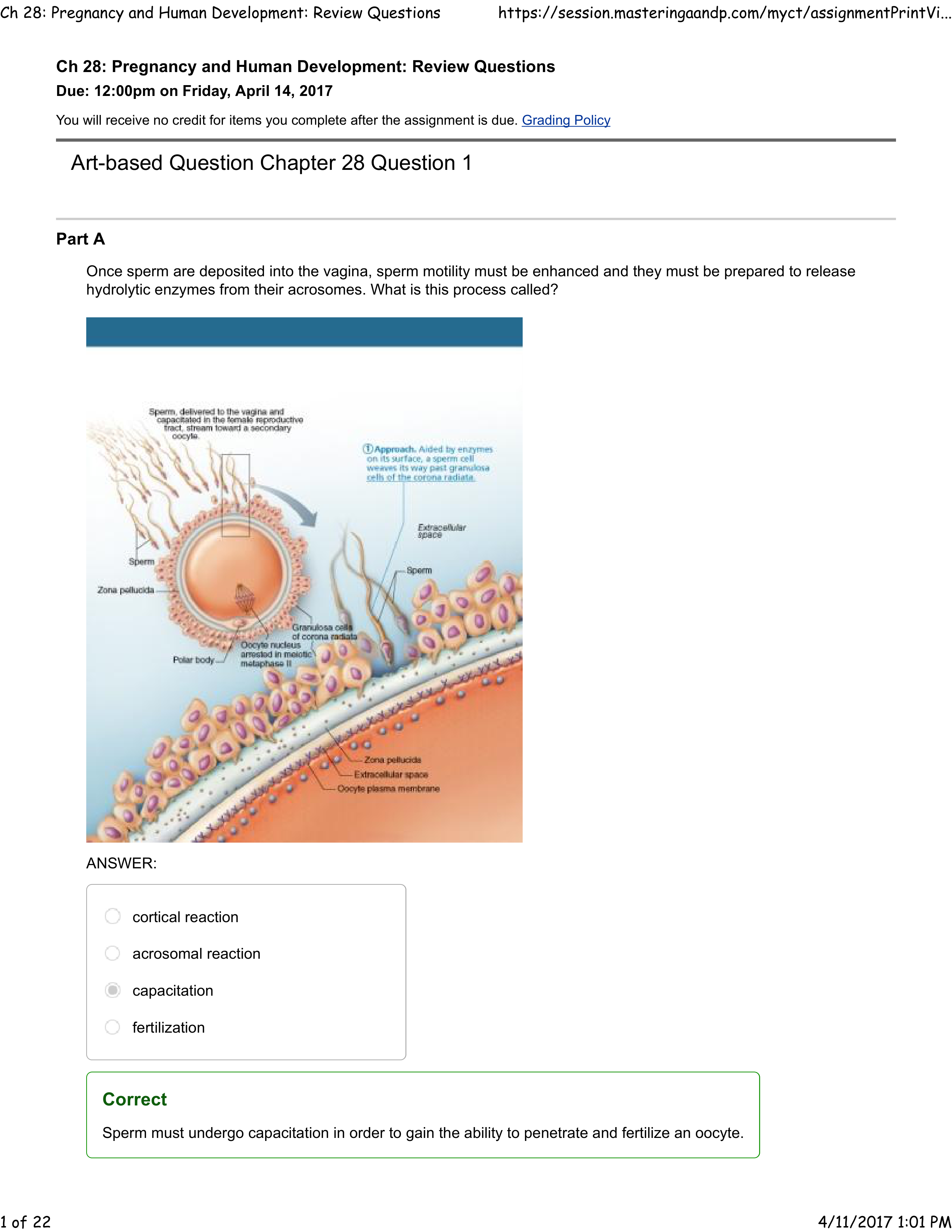 Ch 28_ Pregnancy and Human Development_ Review Questions_dg1axacfz5g_page1