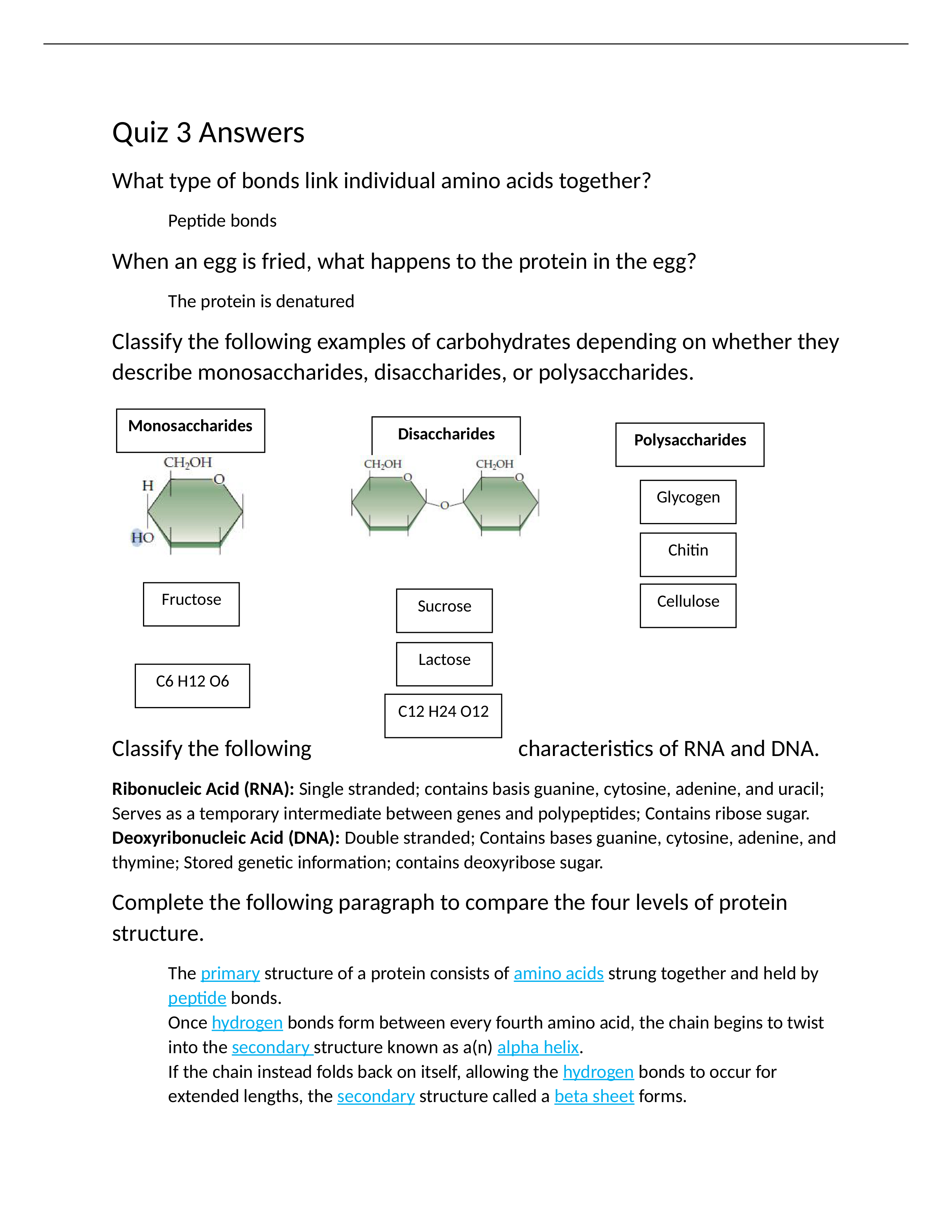 Chapter 3 Quiz.docx_dg38npdeigt_page1