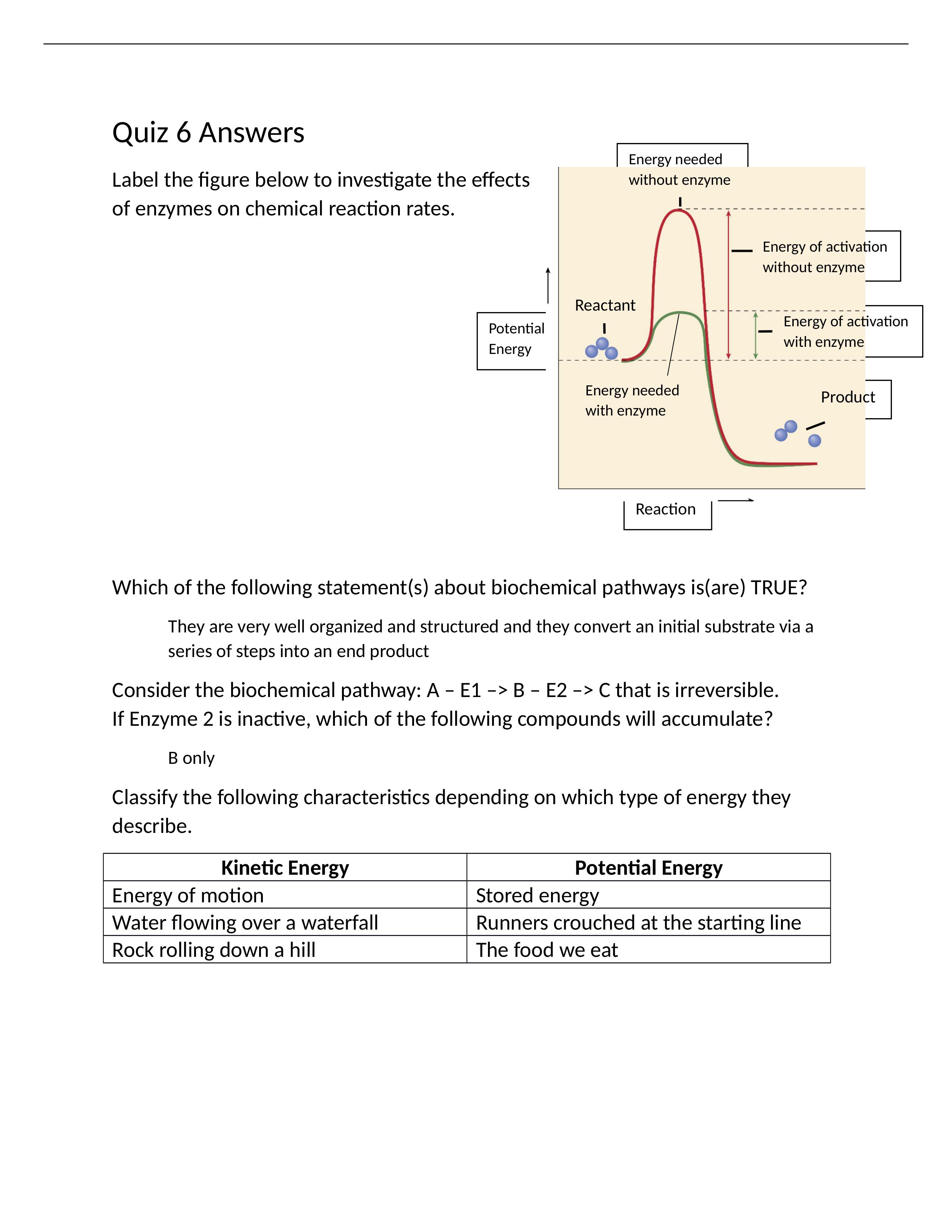 Quiz 6 Answers.docx_dg86on9nljk_page1