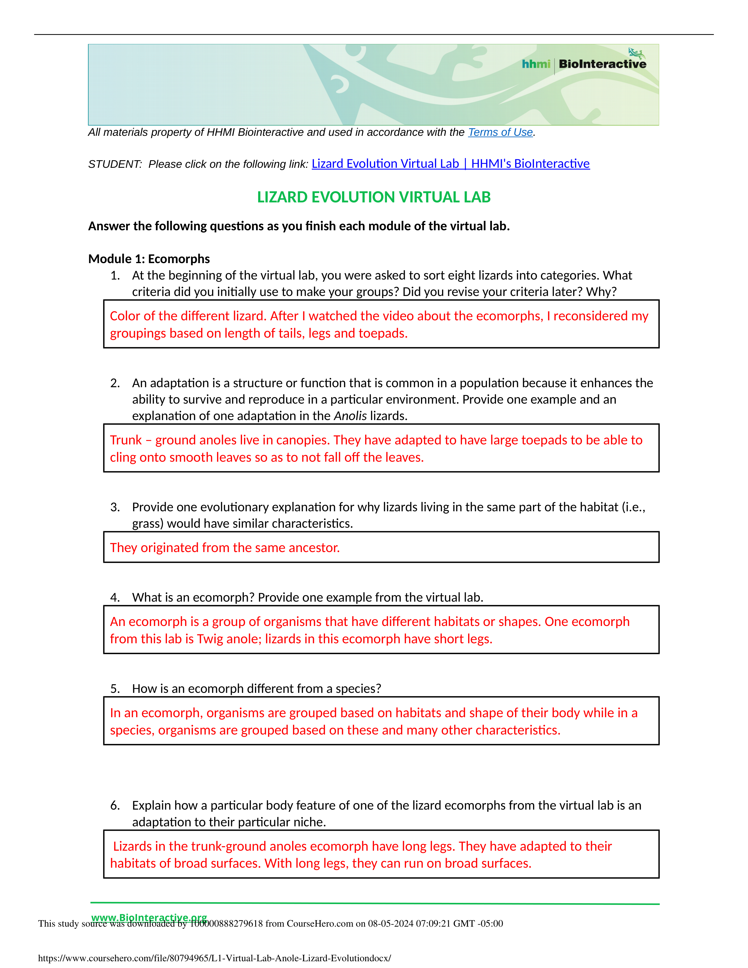 L1 Virtual Lab Anole Lizard Evolution.docx_dga34sub5ie_page1