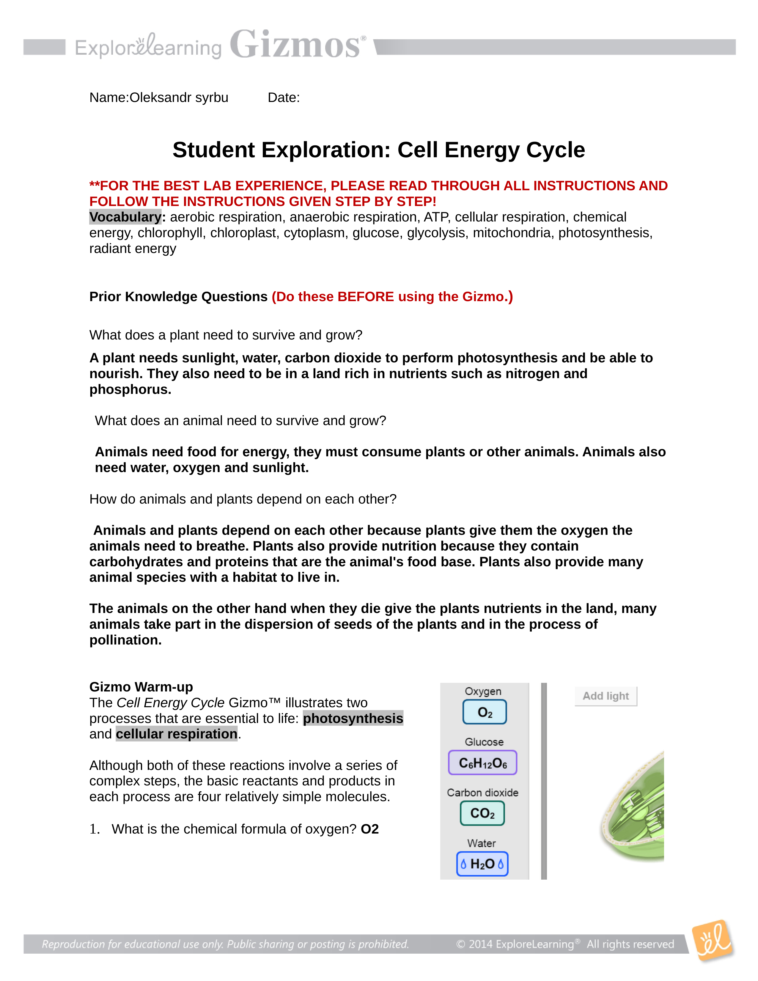 Student Exploration - Cell Energy Cycle (2).doc_dgb9ou331iy_page1