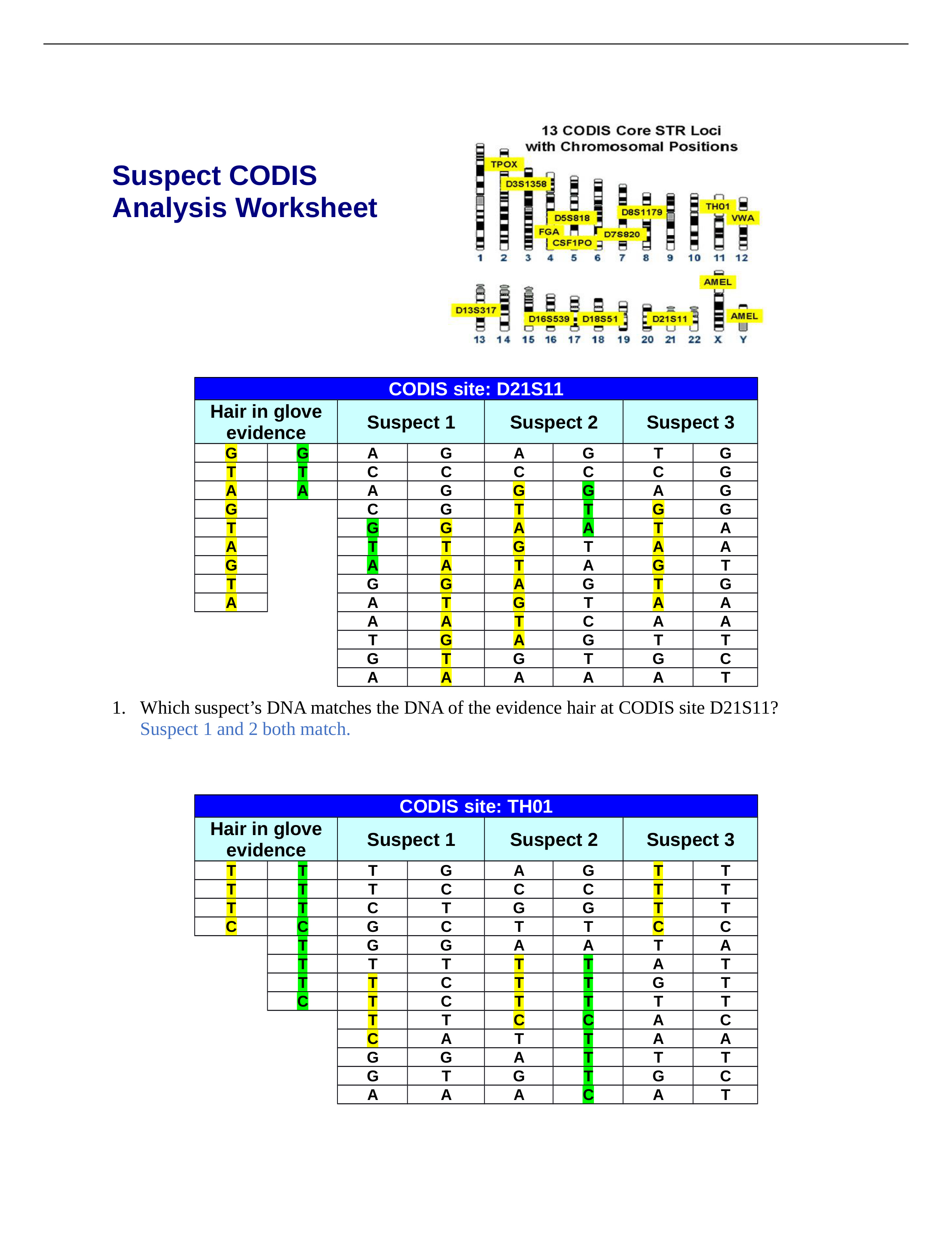 Suspect CODIS Analysis Student Handout.docx_dgii8fjdd0c_page1