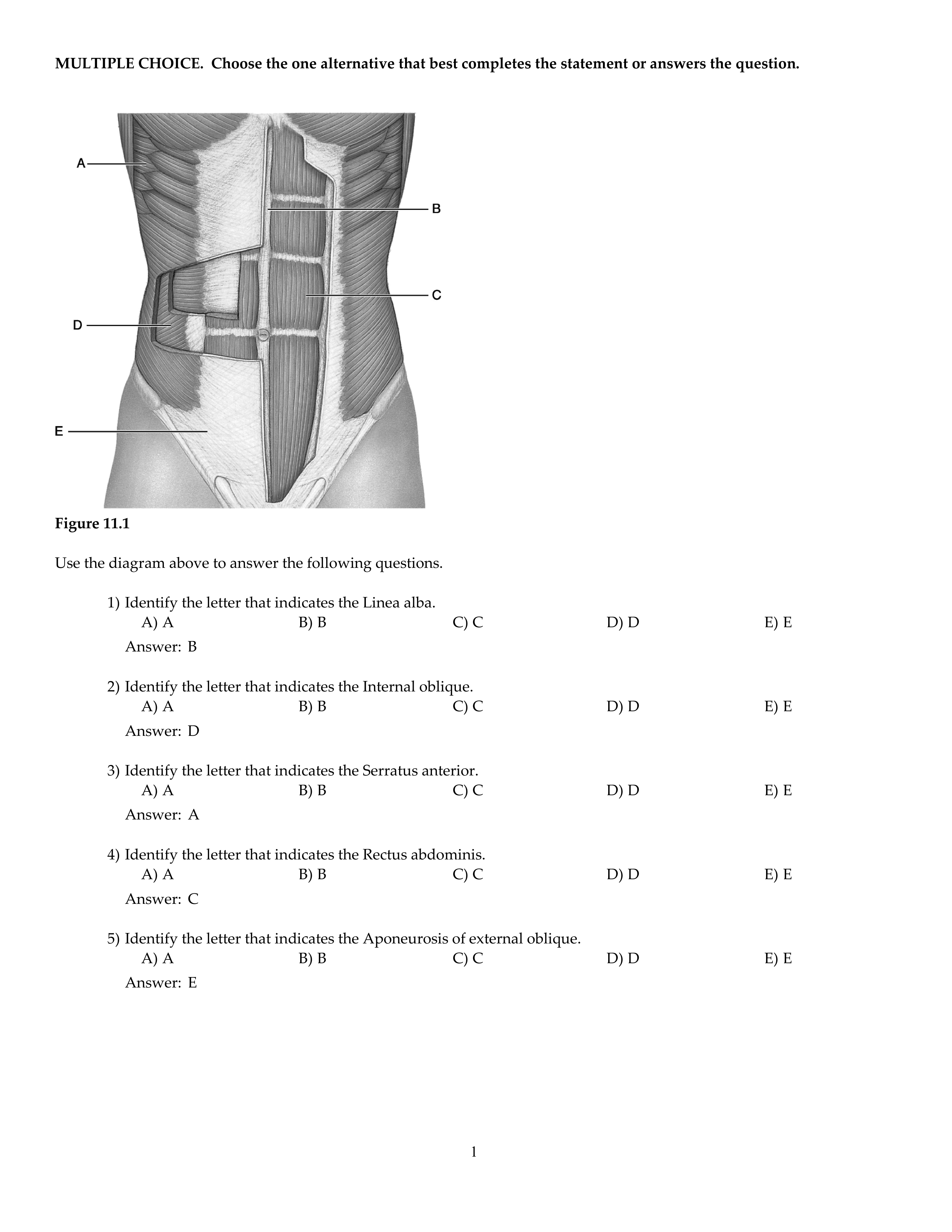 CH11.pdf_dglc0q2zw0i_page1