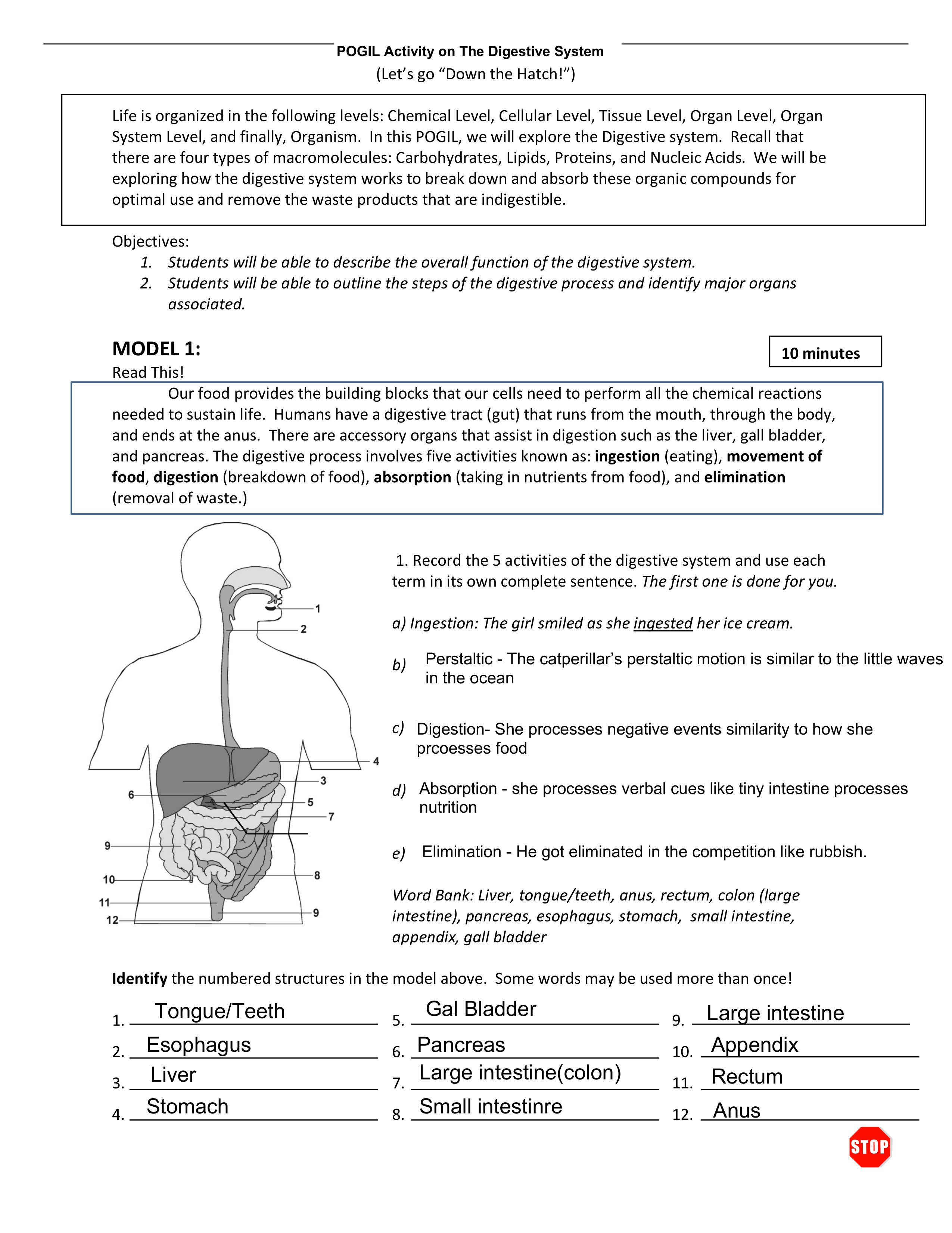 DigestiveSystem_POGIL (2).pdf_dgn5nc7ilvu_page1