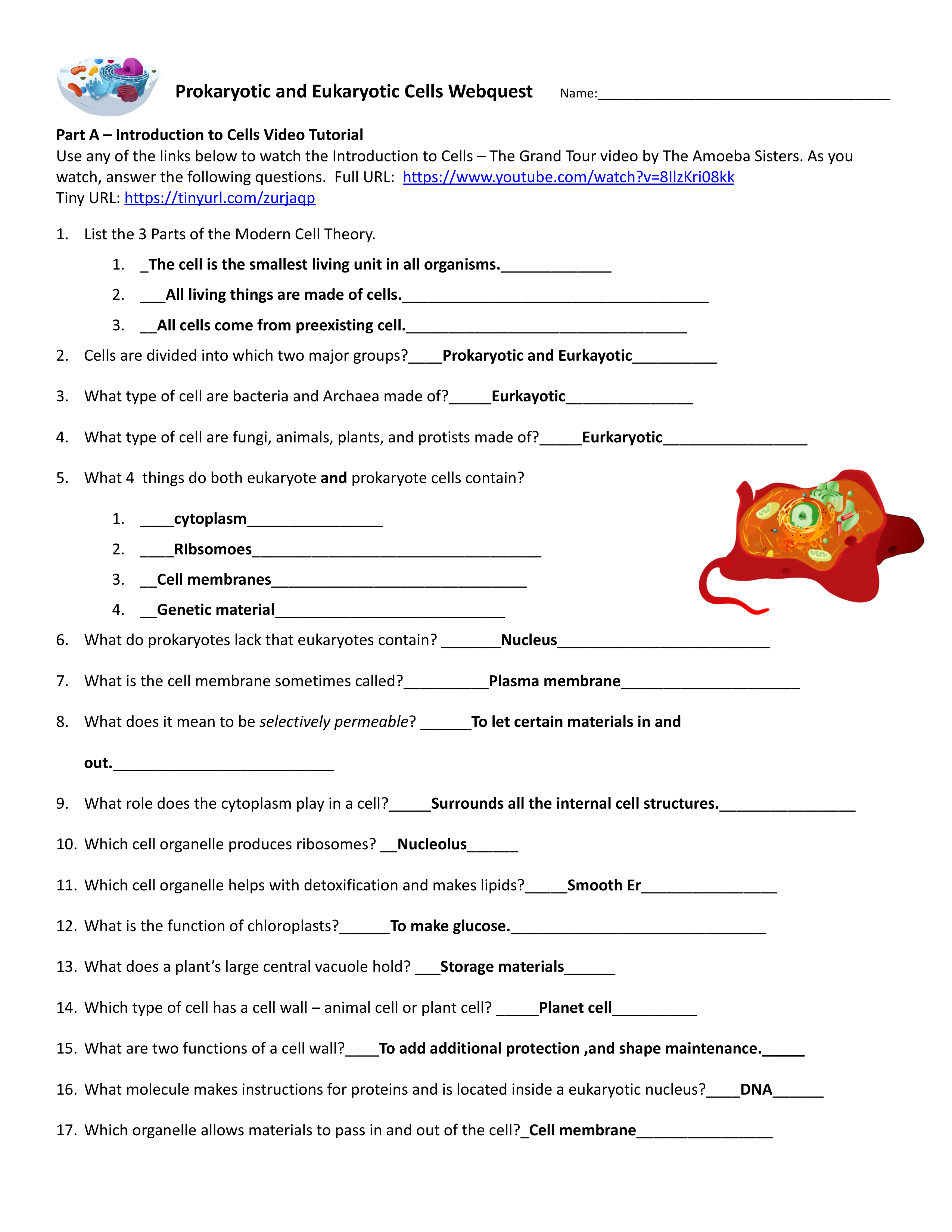 Hester Prokaryotic and Eukaryotic Cells Webquest - Science Is Real.pdf_dgwpfxgwbrc_page1